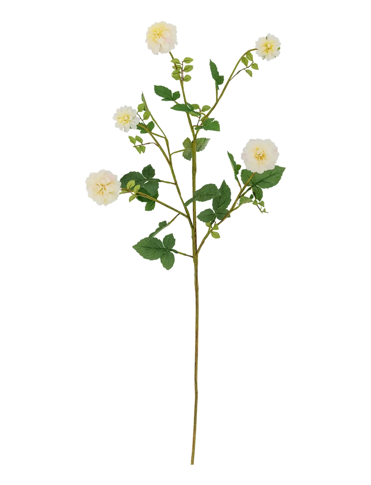 Bloomingville Chrysantemum Stem, Dried & Fake Flowers, Hvid, Str: H101CM