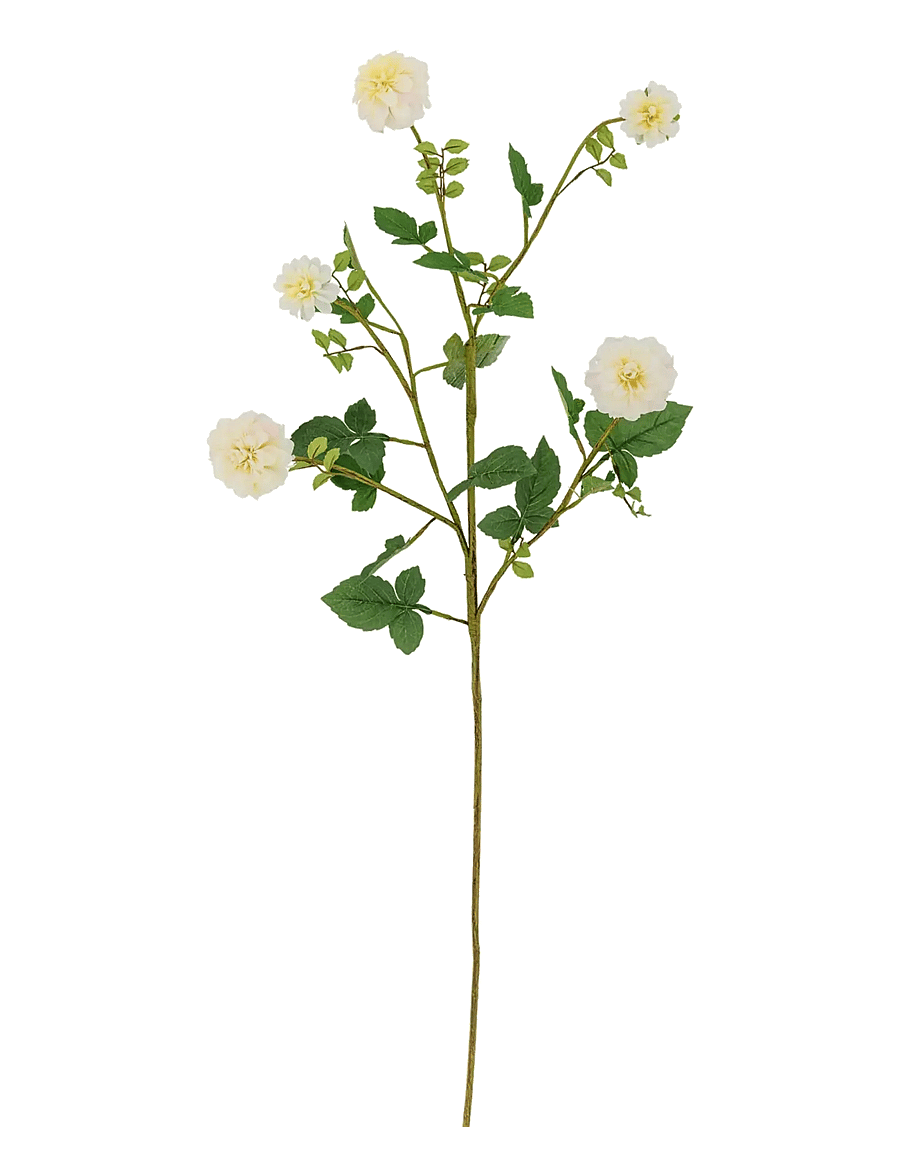 Bloomingville - Chrysantemum Stem - die niedrigsten preise - white - 0