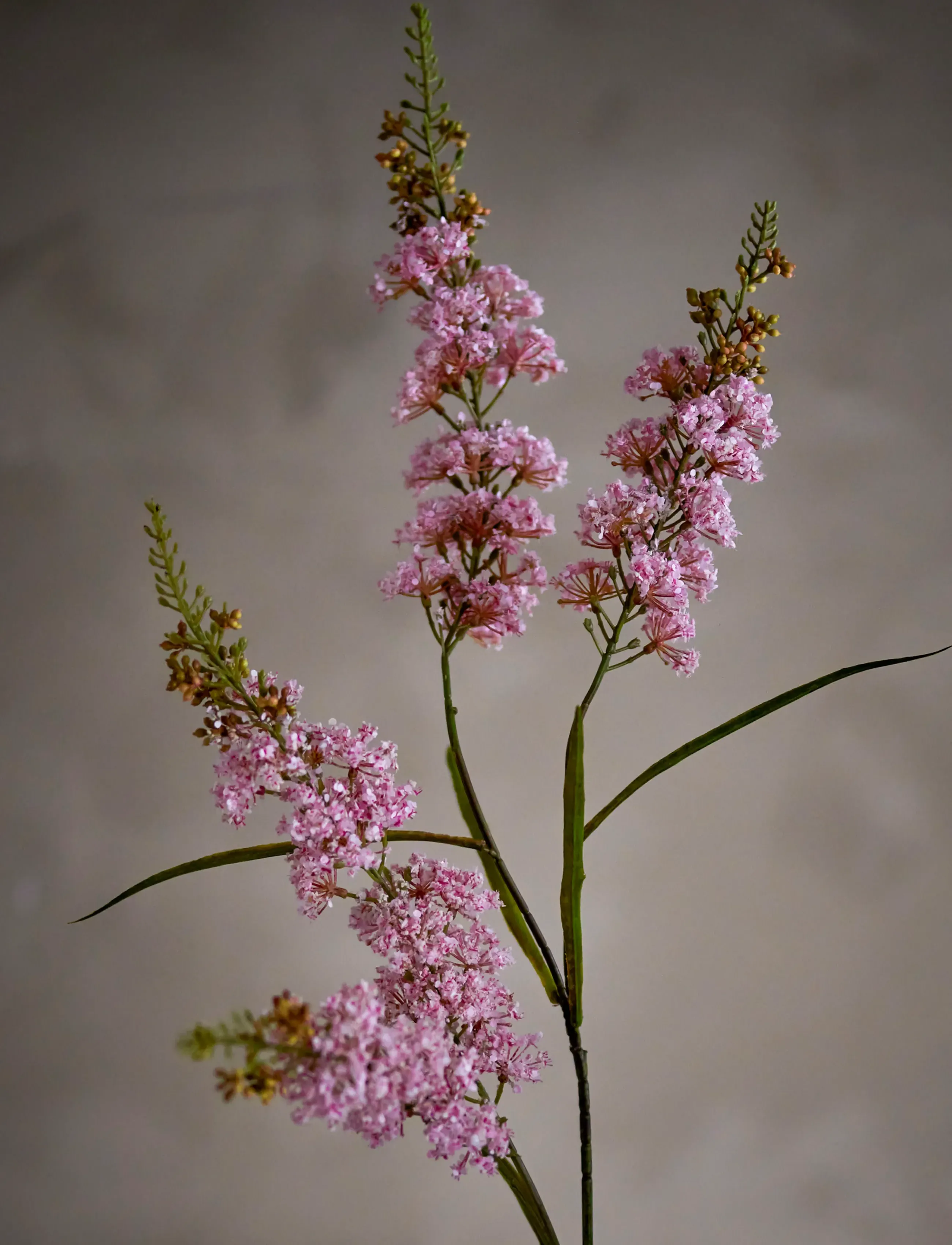 Bloomingville Hydrangea Stem, H100 cm, Pink, Decoration > Dried & Fake Flowers, Unisex