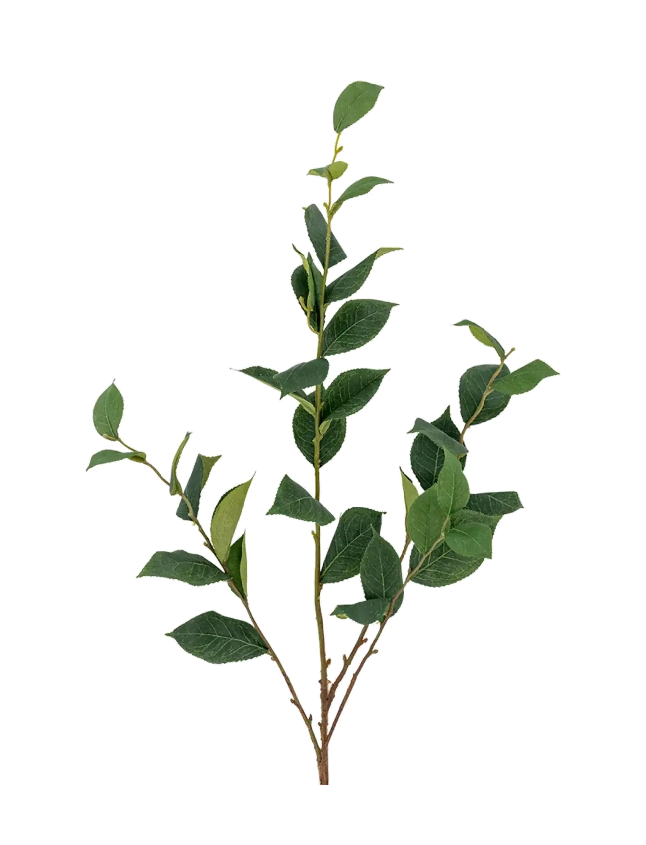 Bloomingville Eucalyptus Stem, Dried & Fake Flowers, Grøn, Str: H110CM