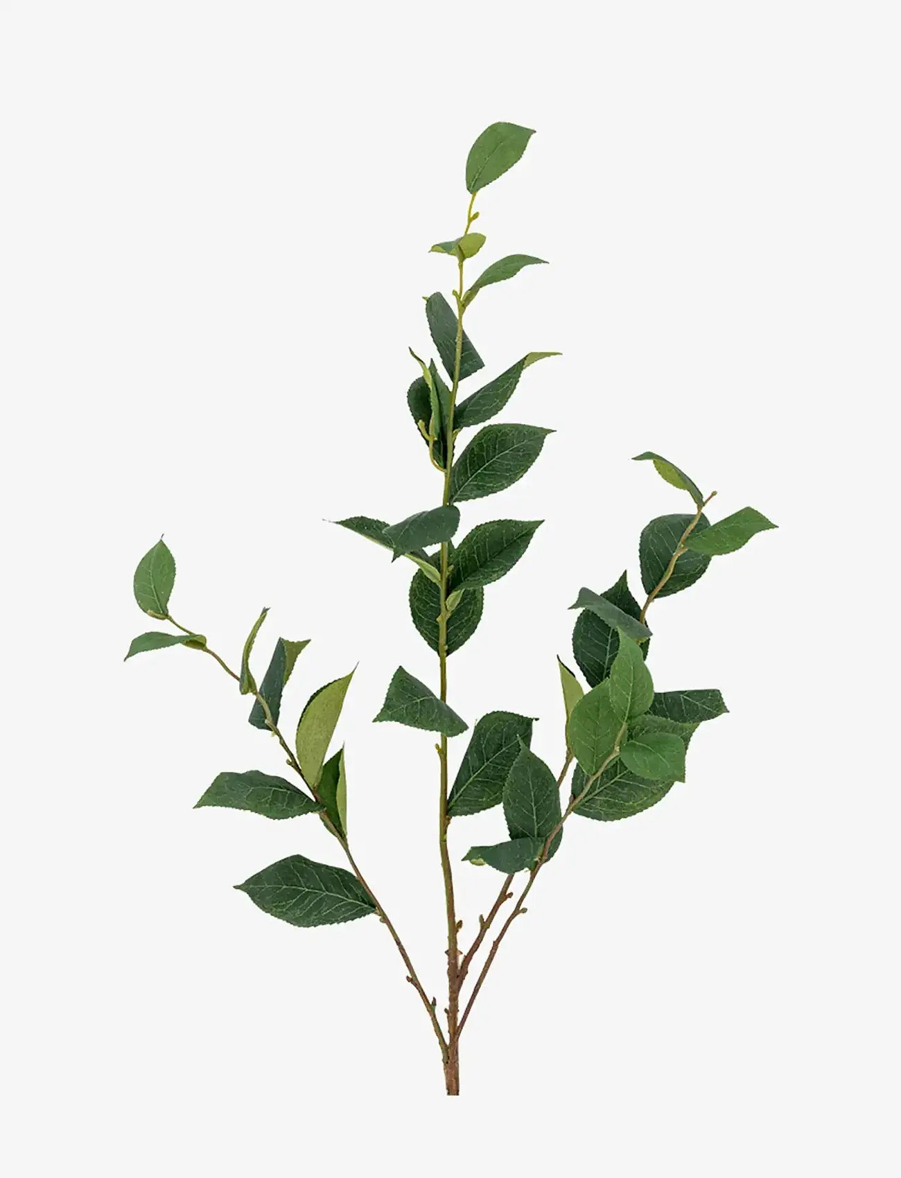 Bloomingville - Eucalyptus Stem - cadeau de saint valentin - green - 1