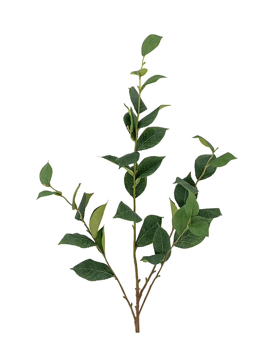 Bloomingville - Eucalyptus Stem - madalaimad hinnad - green - 0