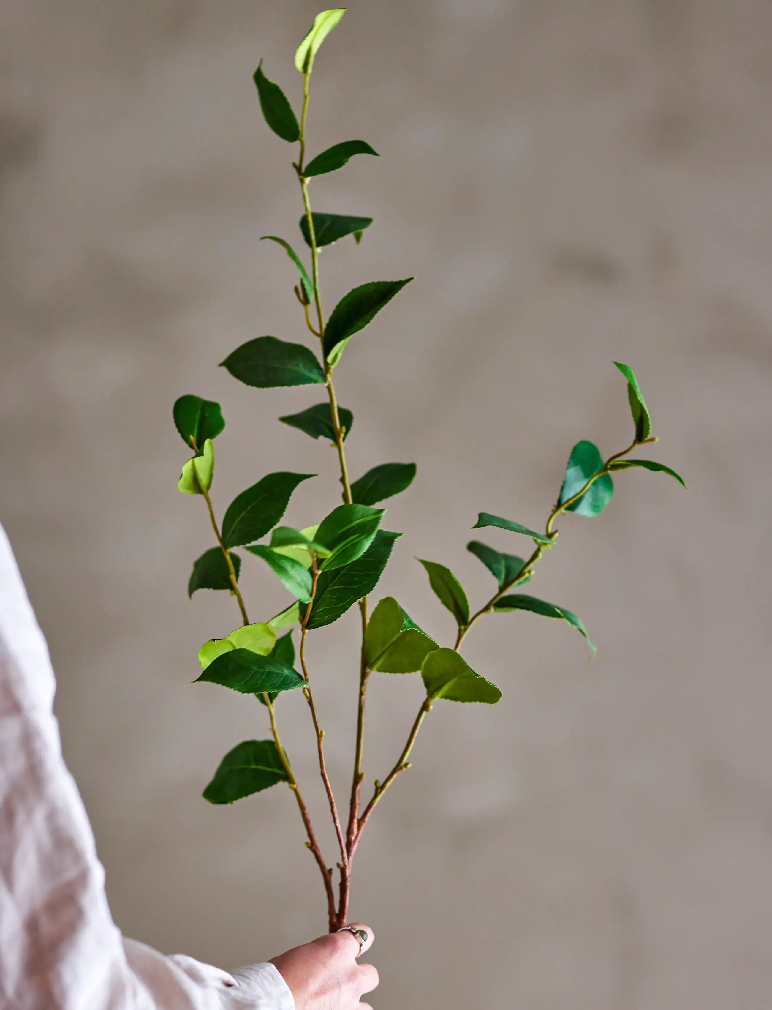 Bloomingville Eucalyptus Stem, H110 cm, Decoration, Grün - Dried & Fake Flowers, Homeware