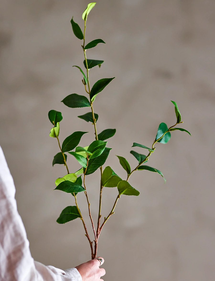 Bloomingville - Eucalyptus Stem - madalaimad hinnad - green - 1