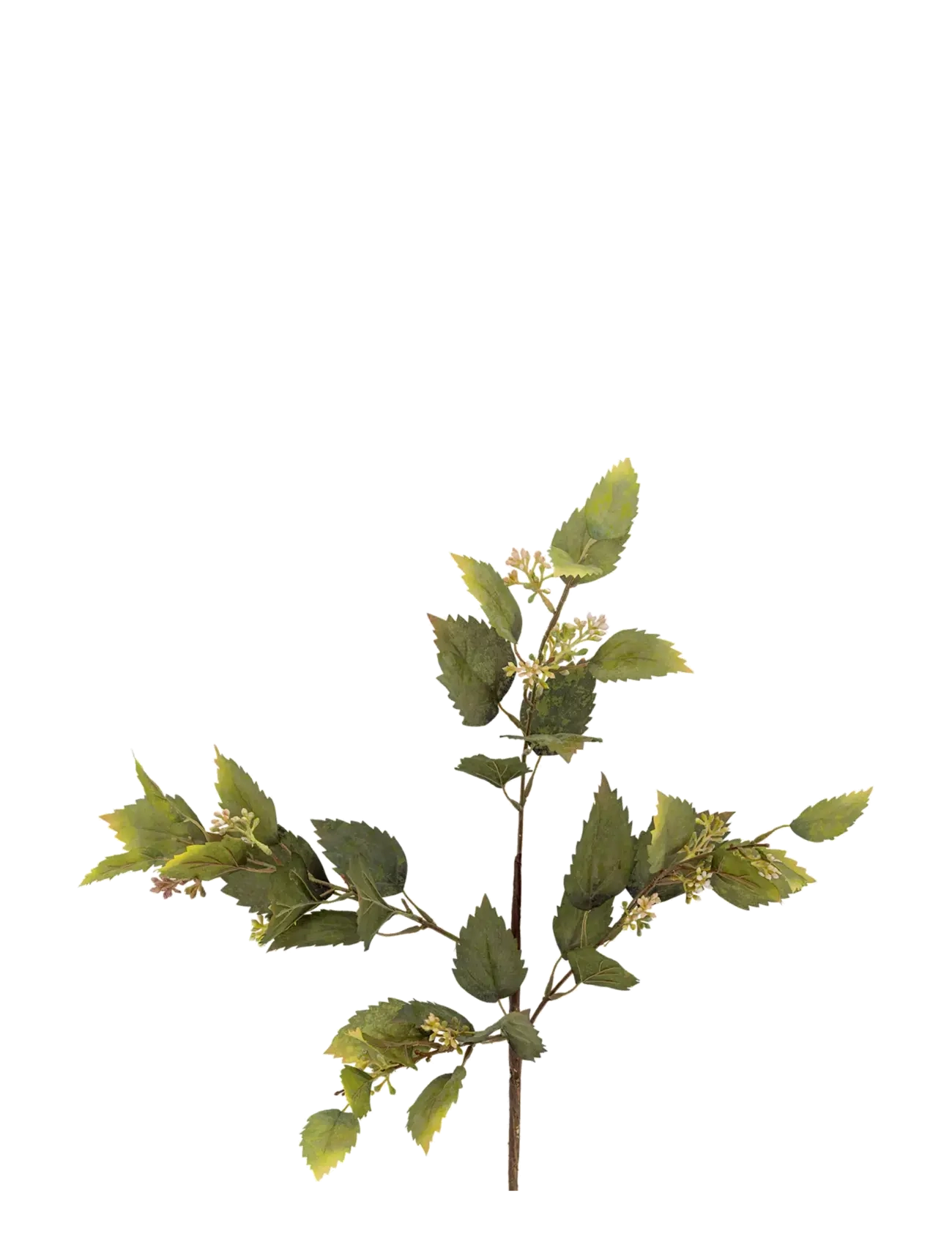 Bloomingville Eucalyptus Stem, Dried & Fake Flowers, Grøn, Str: H92CM