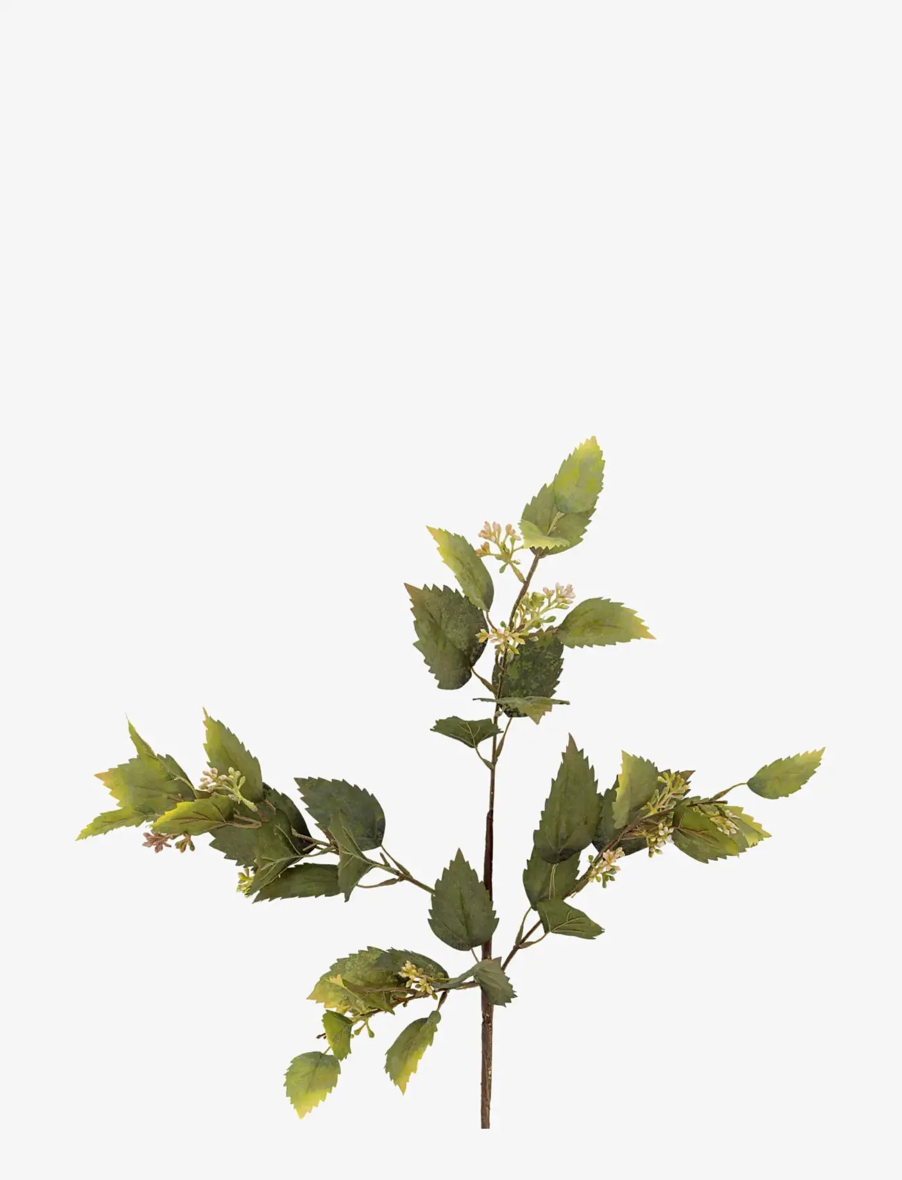 Bloomingville - Eucalyptus Stem - valentinsgaver - green - 1
