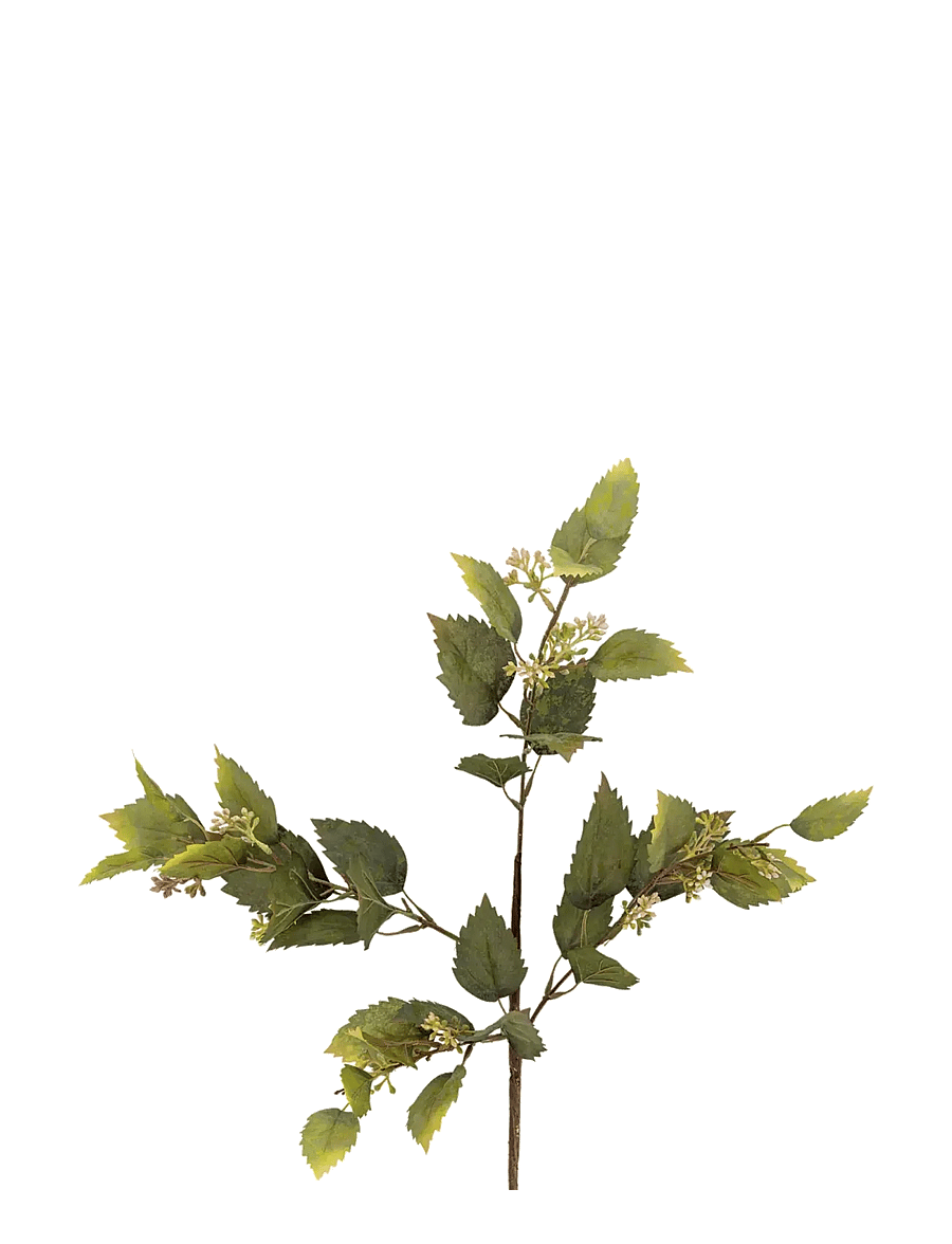 Bloomingville - Eucalyptus Stem - madalaimad hinnad - green - 0