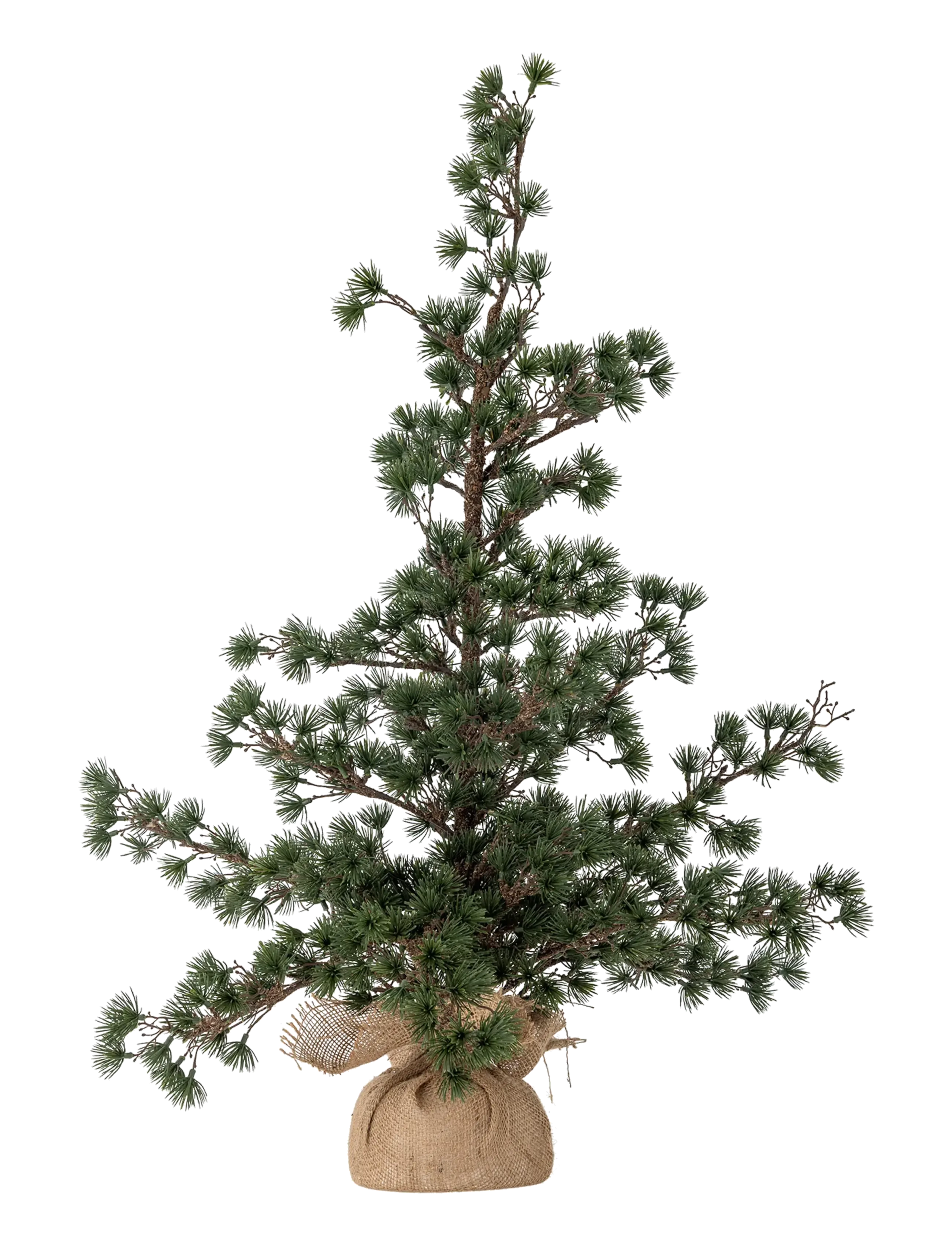 Bloomingville Cedar Tree - Alles anzeigen - GREEN / green