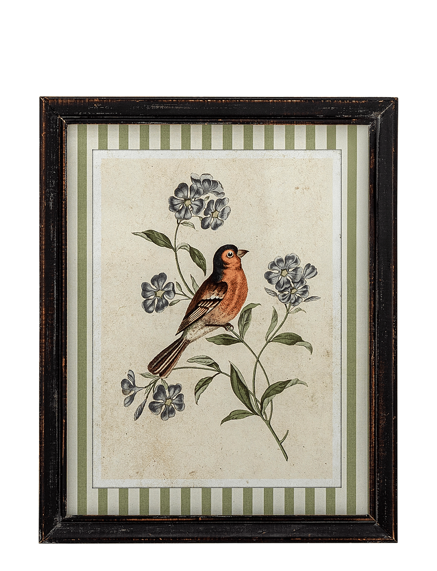 Bloomingville - Renji Illustration w/ Frame - iliustracijos - multi-coloured - 1