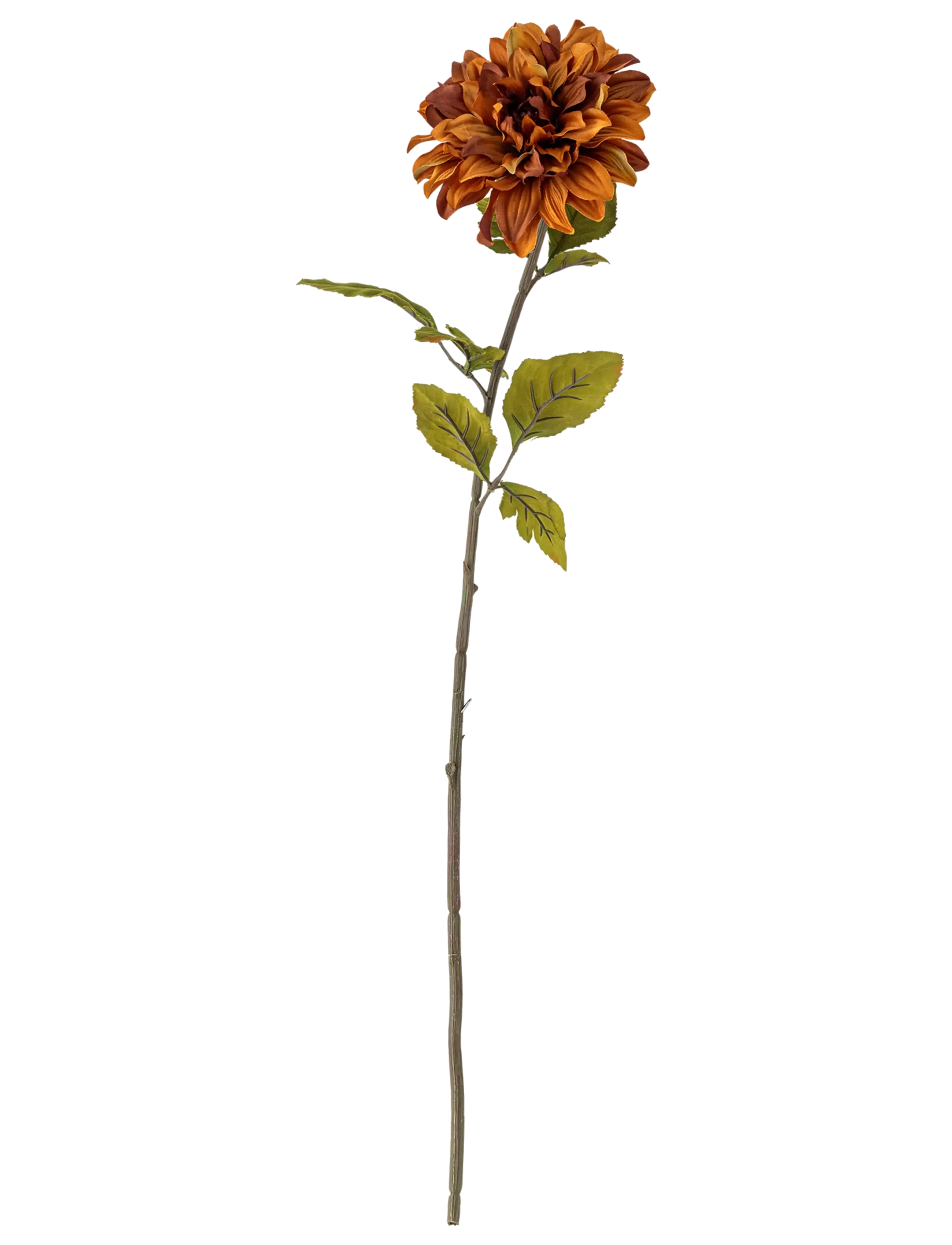 Bloomingville Chrysantemum Stem - Neuheiten - ORANGE / orange