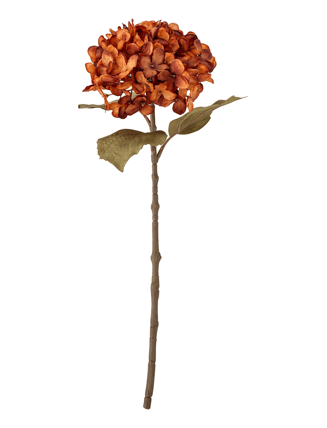 Bloomingville - Hydrangea Stem - Žāvēti