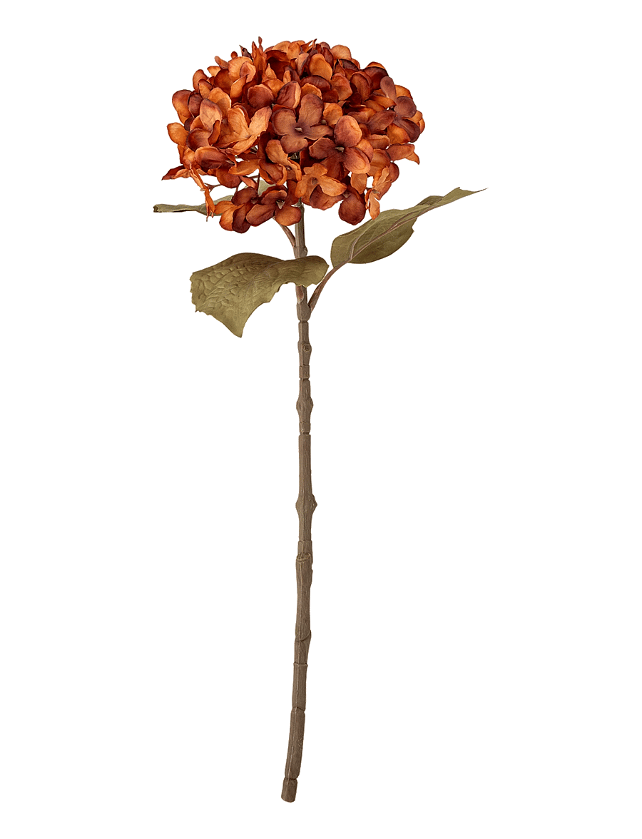 Bloomingville - Hydrangea Stem - valentīndienas dāvanas - orange - 0