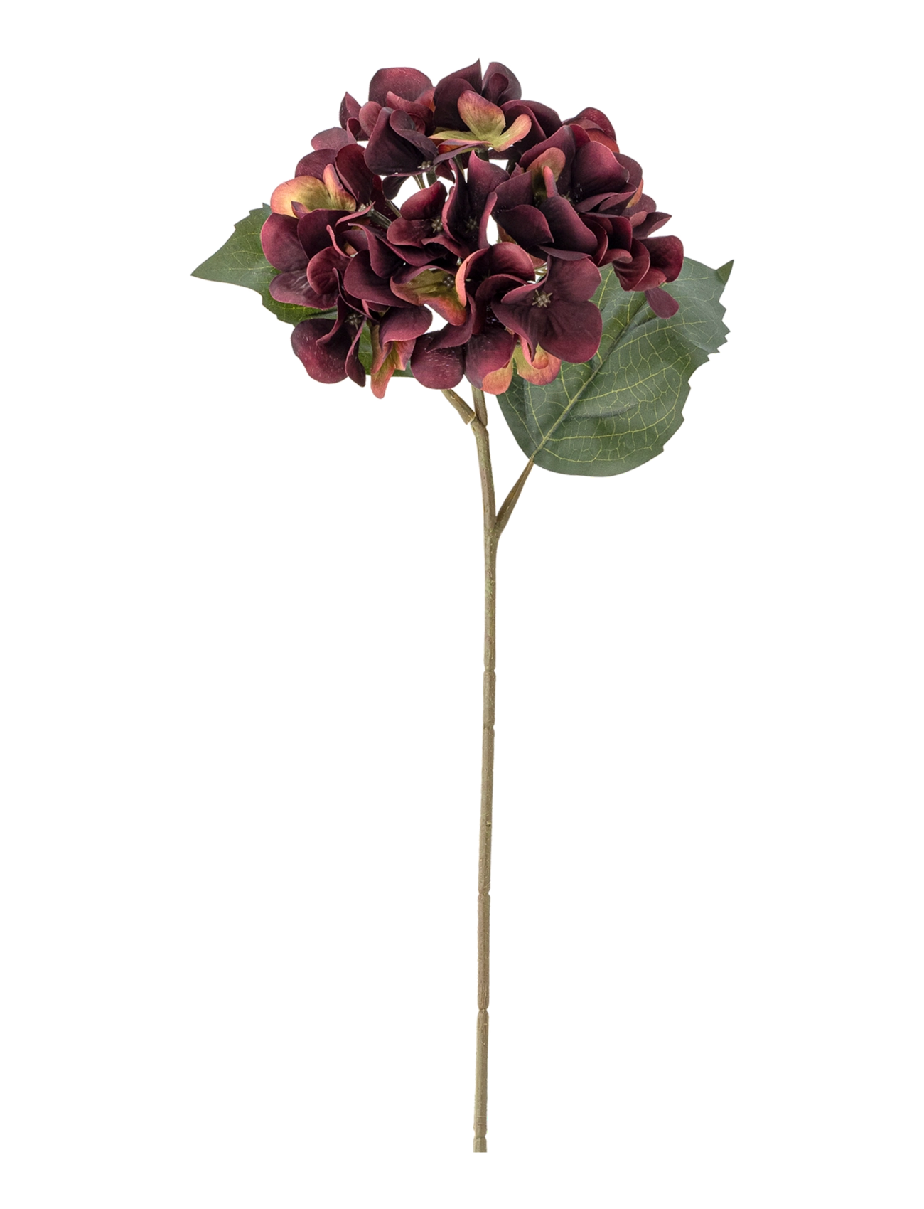 Bloomingville Hydrangea Stem - Neuheiten - PURPLE / purple
