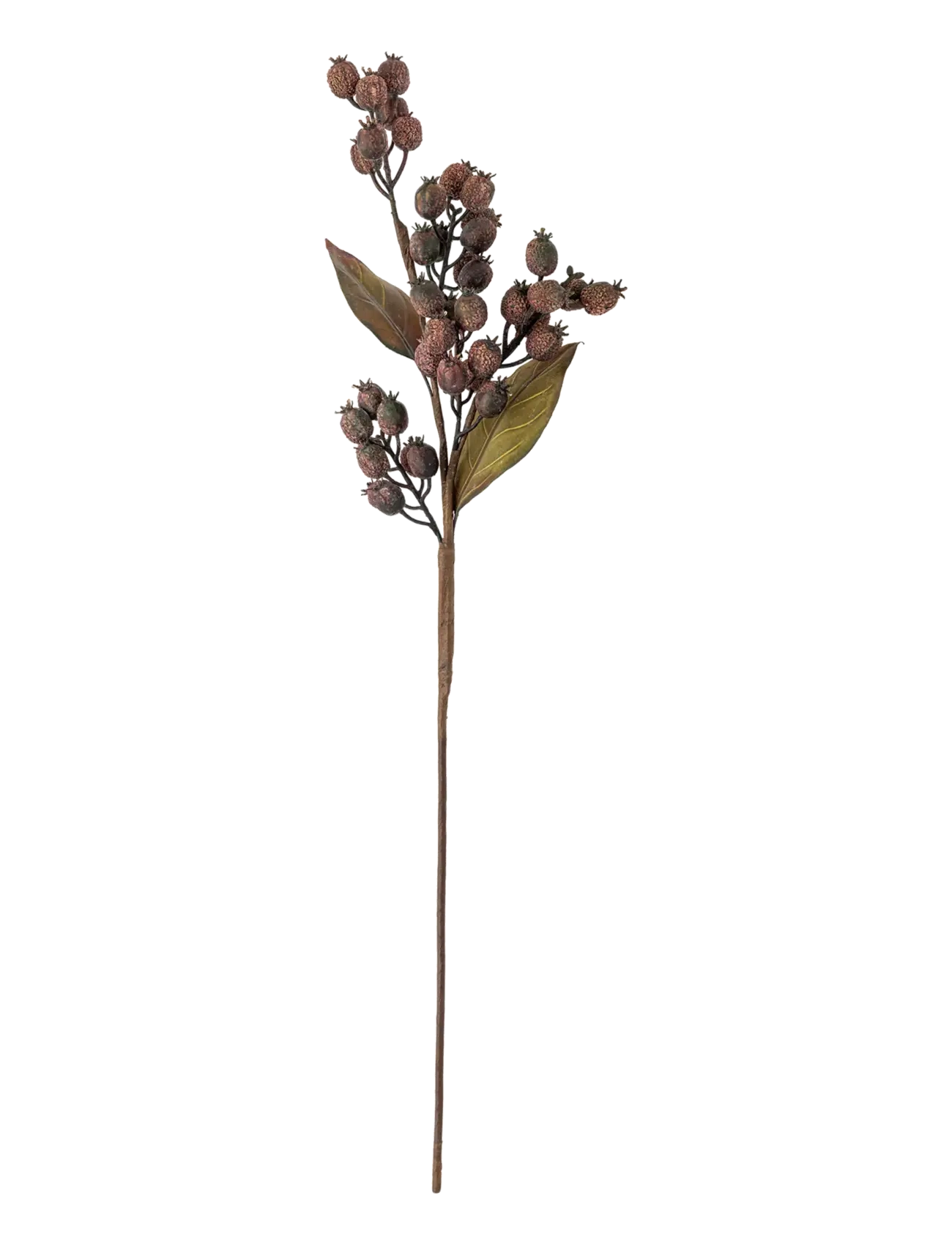 Bloomingville Berry Branch - Kunstbloemen en -planten - BROWN / brown