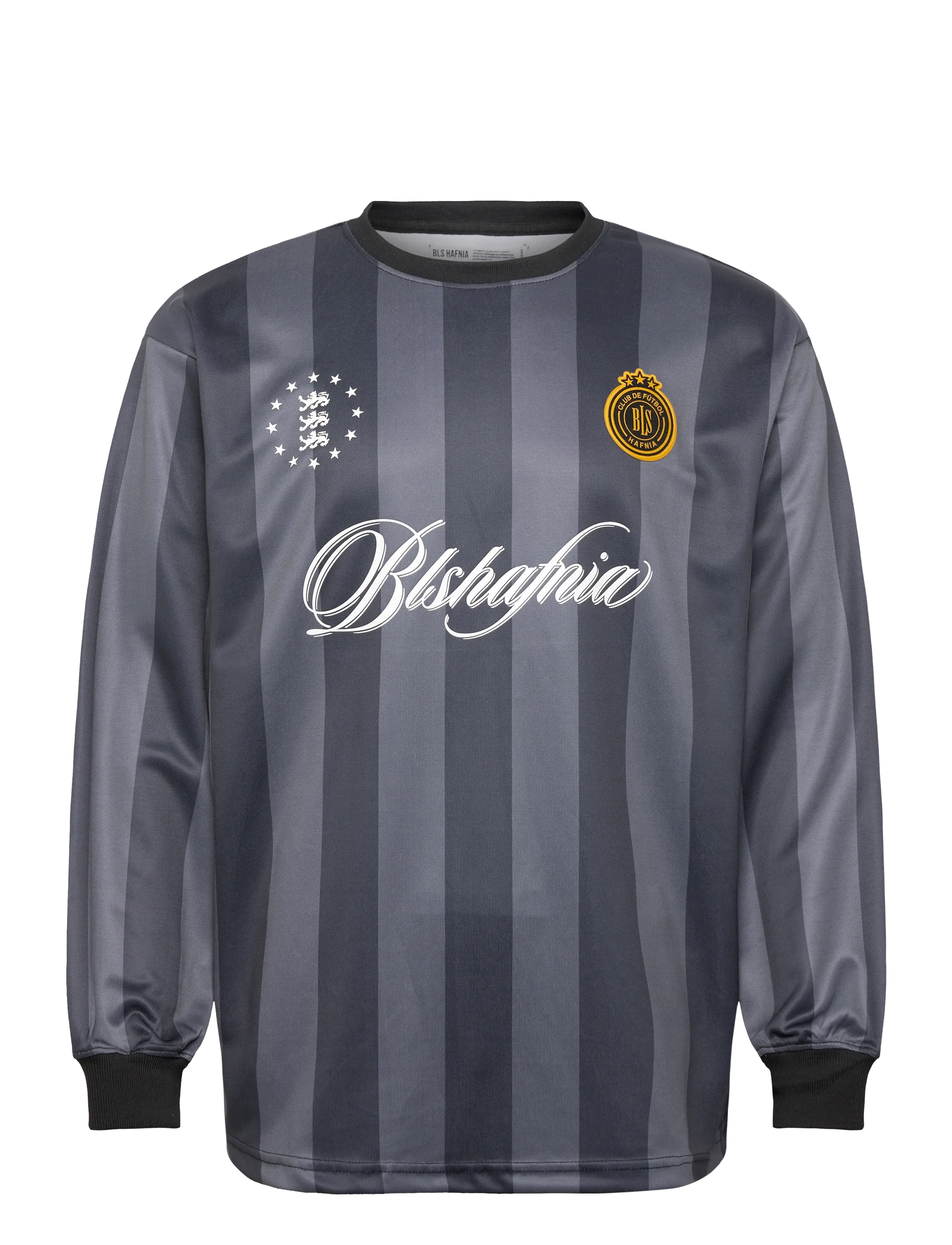 BLS Hafnia Florentina Ls Jersey, Mænd, Langærmet Jersey, Grå, Str: M