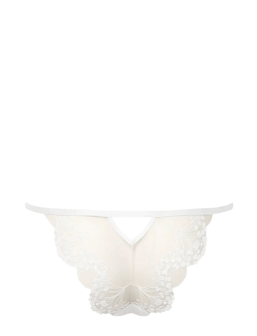Bluebella - Marisa Brief - alltags-style - white/sheer - 2