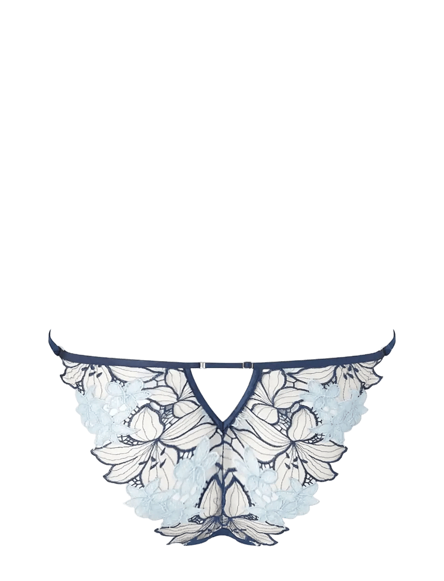 Bluebella - Calantha Brief - slips - navy peony/ice water blue/sheer - 2