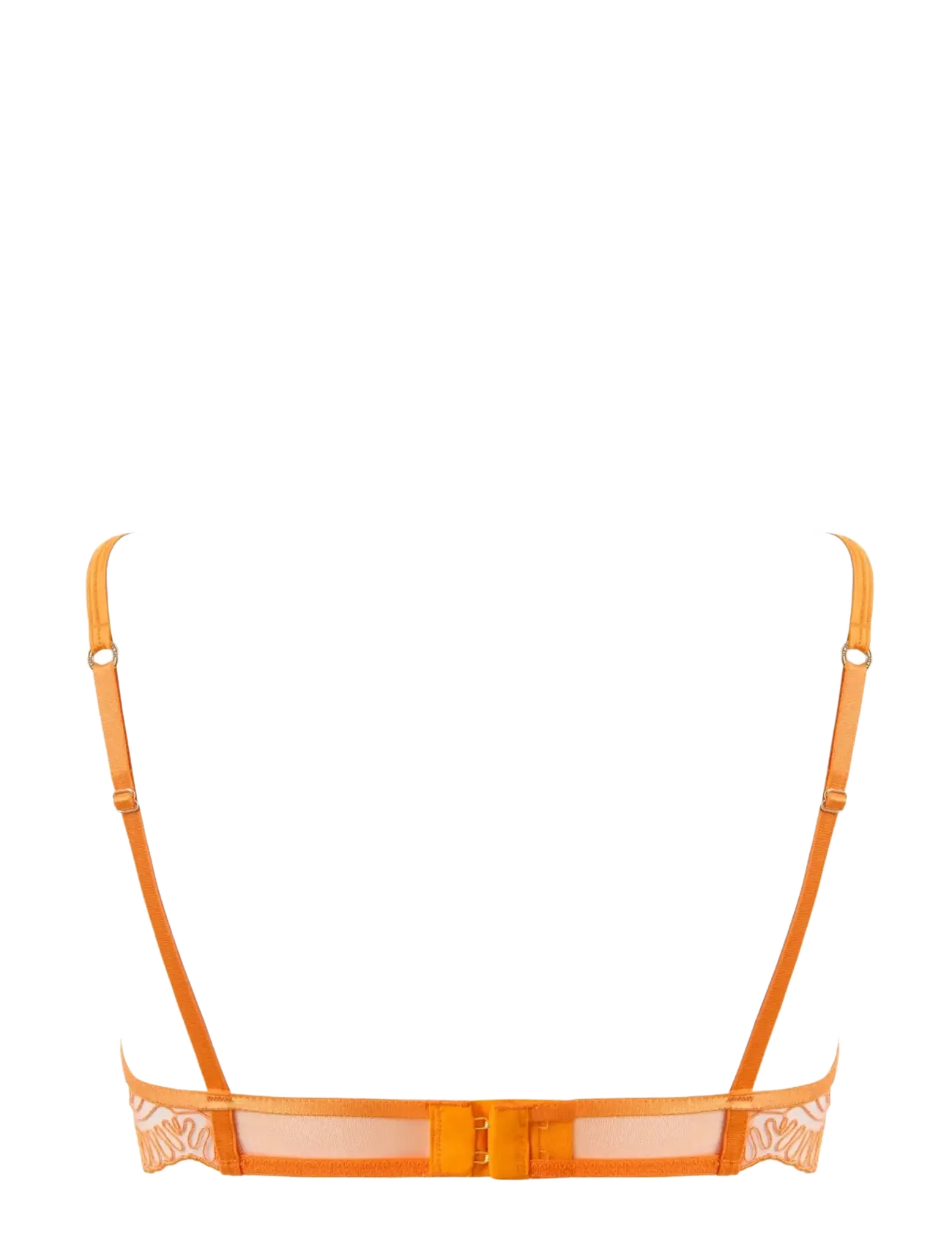Bluebella - Leliana Wired Bra - bøjle-bh’er - orange peel/sheer - 2
