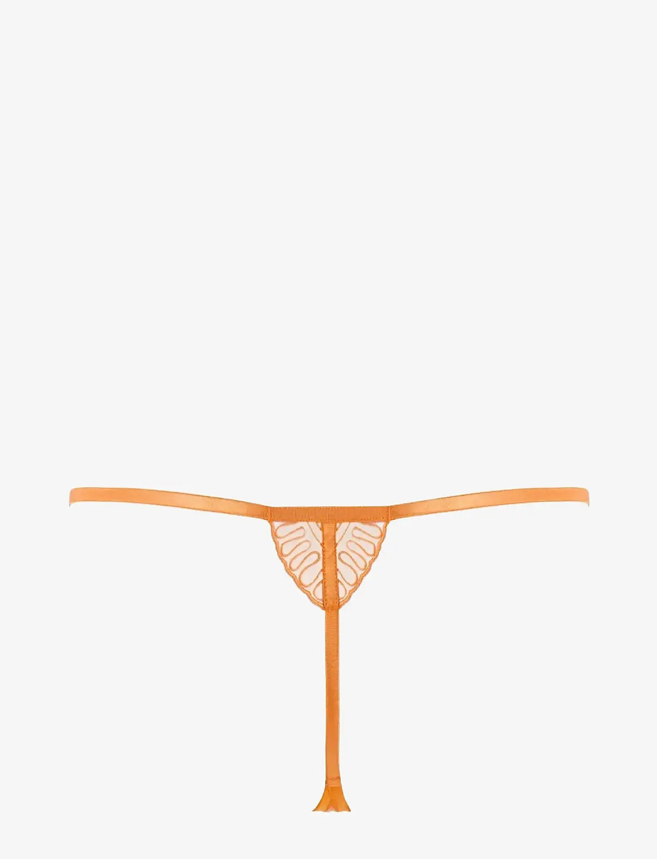 Bluebella - Leliana Thong - stringtrusser - orange peel/sheer - 2