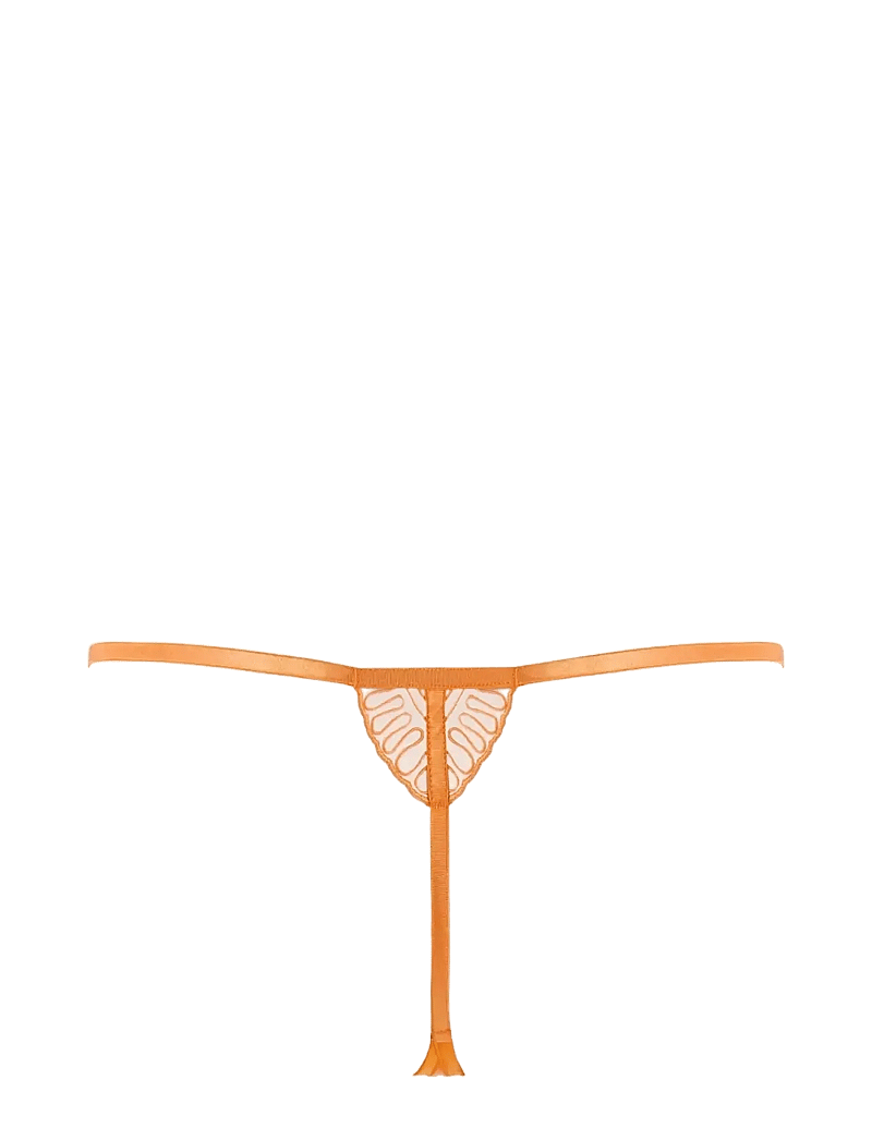 Bluebella - Leliana Thong - stringtrusser - orange peel/sheer - 2