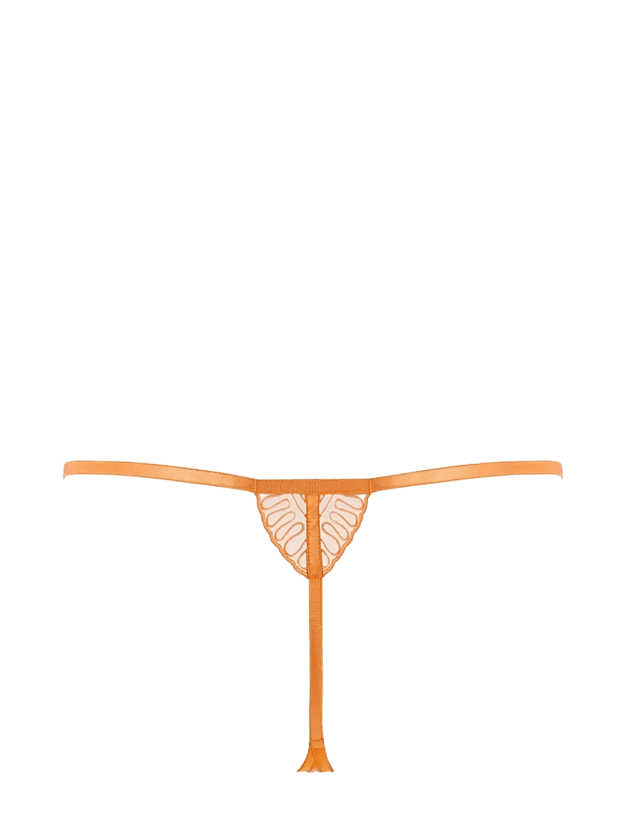 Bluebella - Leliana Thong - tangas - orange peel/sheer - 2