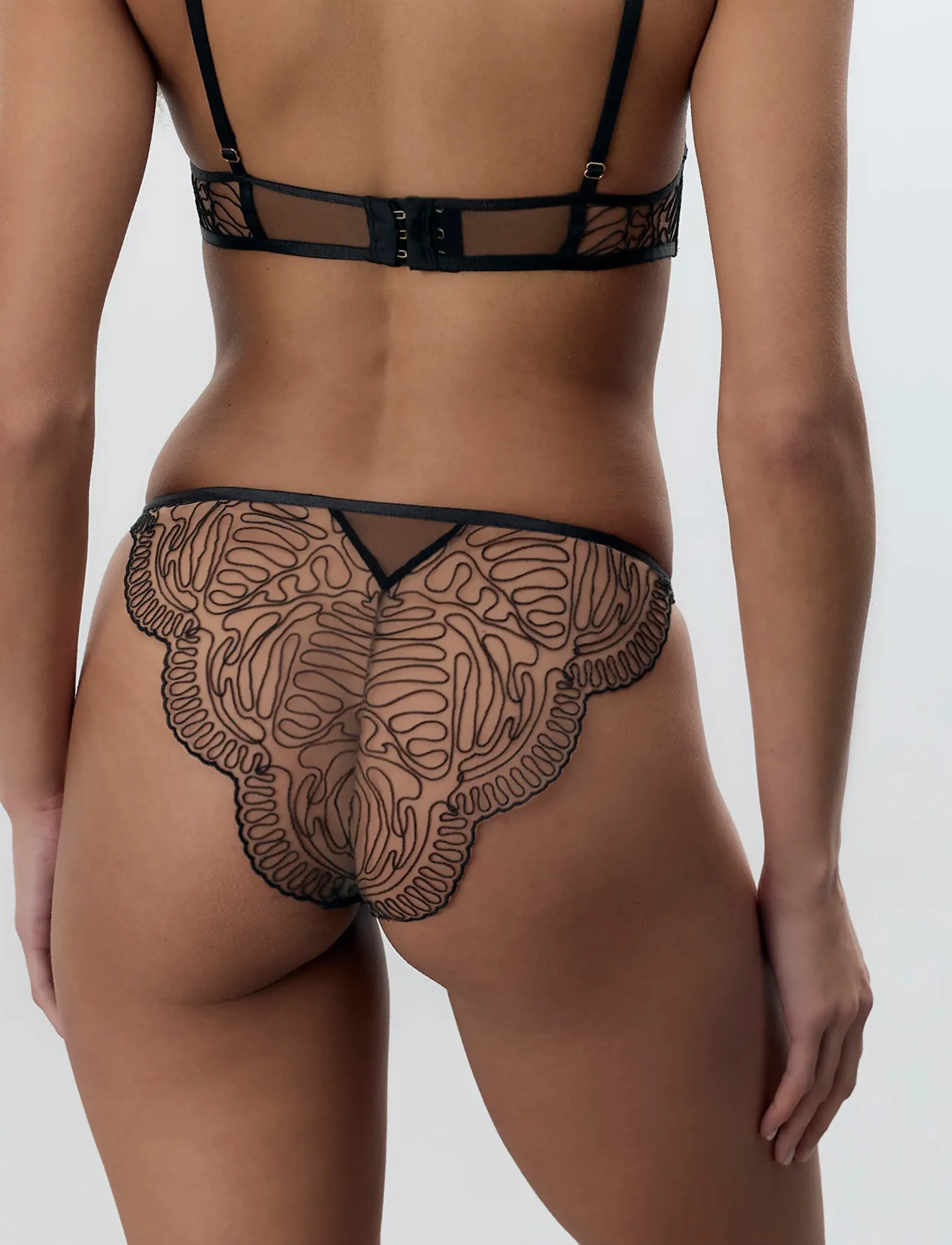 Bluebella - Leliana Brief - nærbuxur - black/sheer - 5