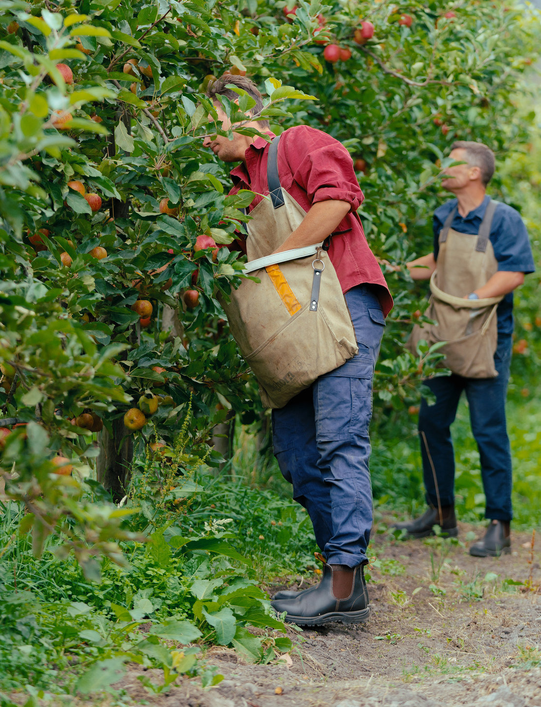 Blundstone 192 2025 safety boots