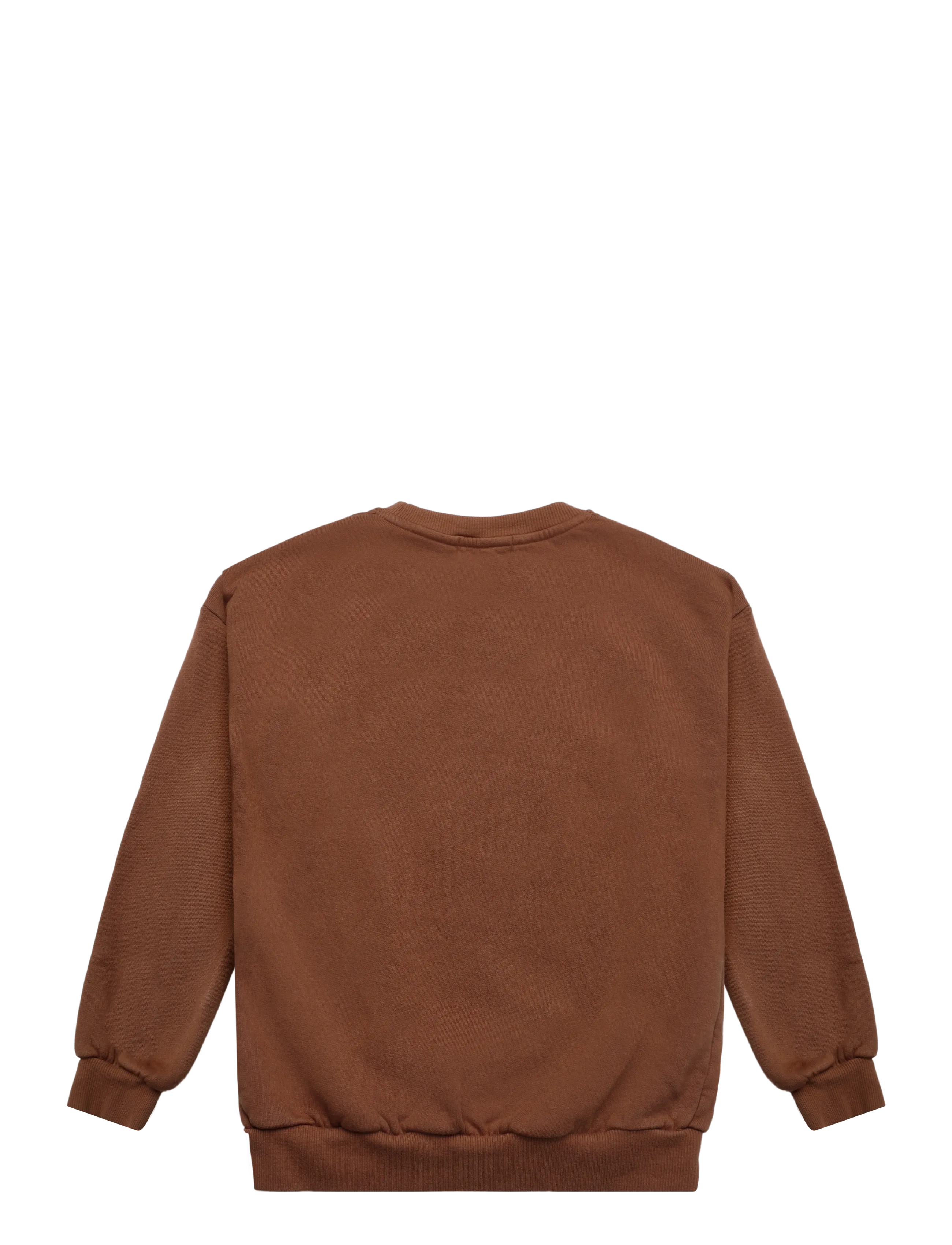 Bobo Choses - Bobo Choses Lake Monster sweatshirt - sweatshirts - brown - 1