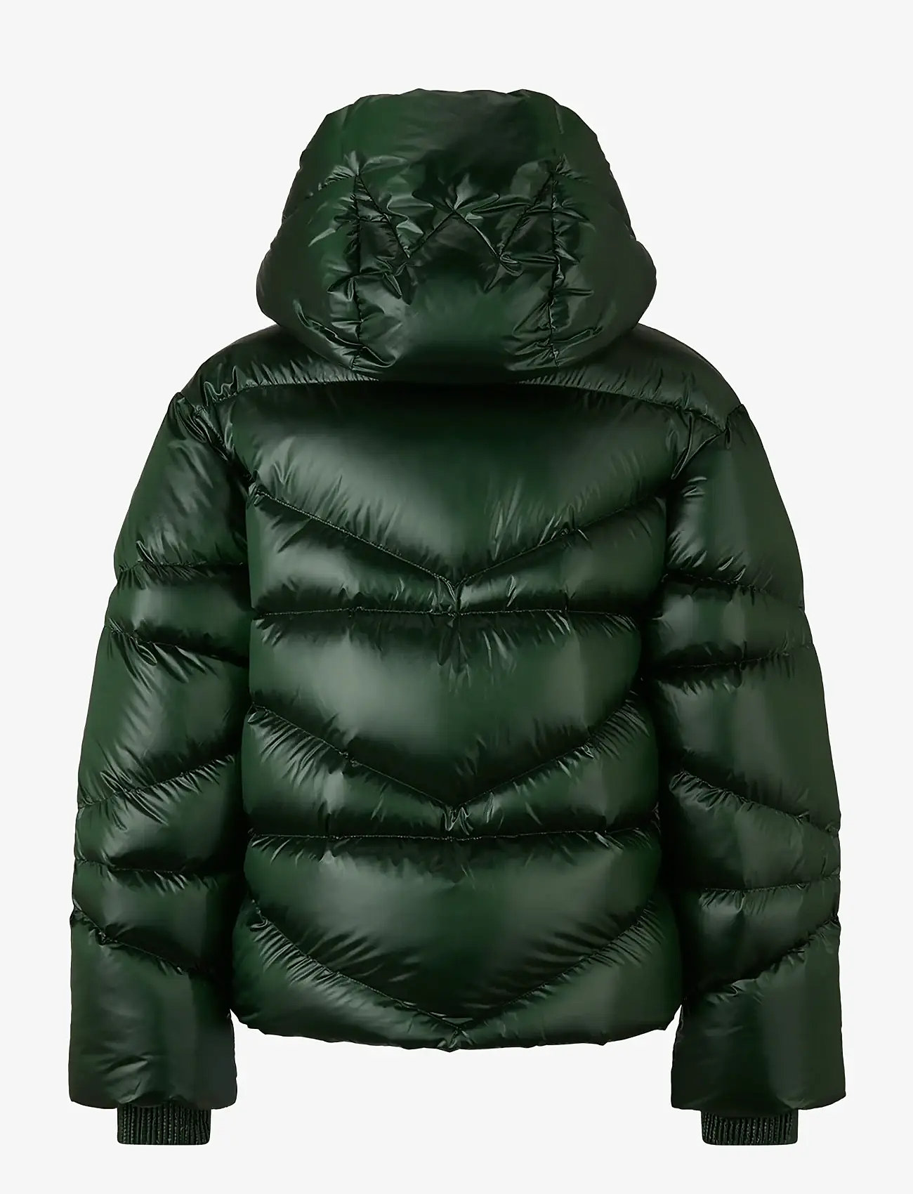 BOGNER - XALLY - gefütterte & daunenjacken - pine green - 1