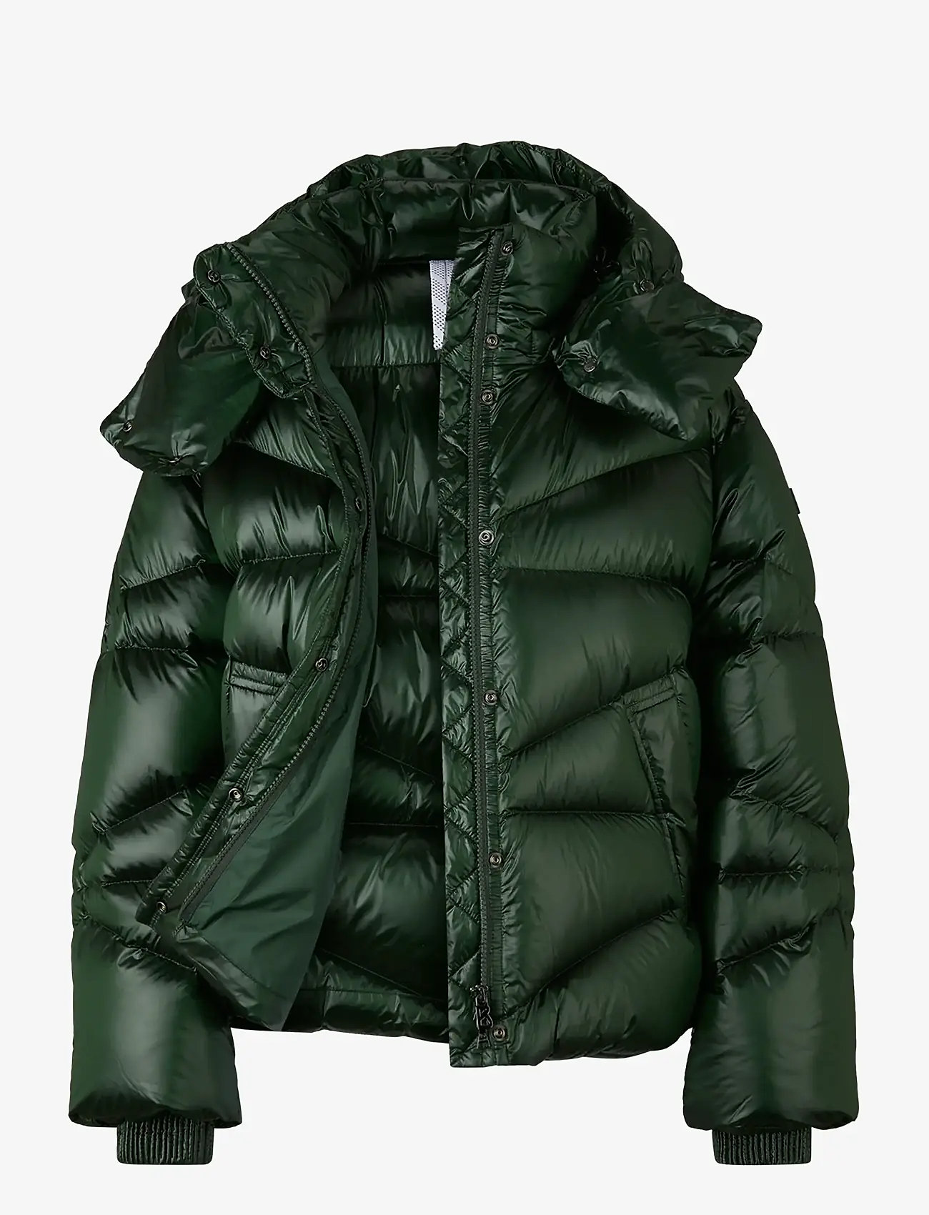 BOGNER - XALLY - gefütterte & daunenjacken - pine green - 2