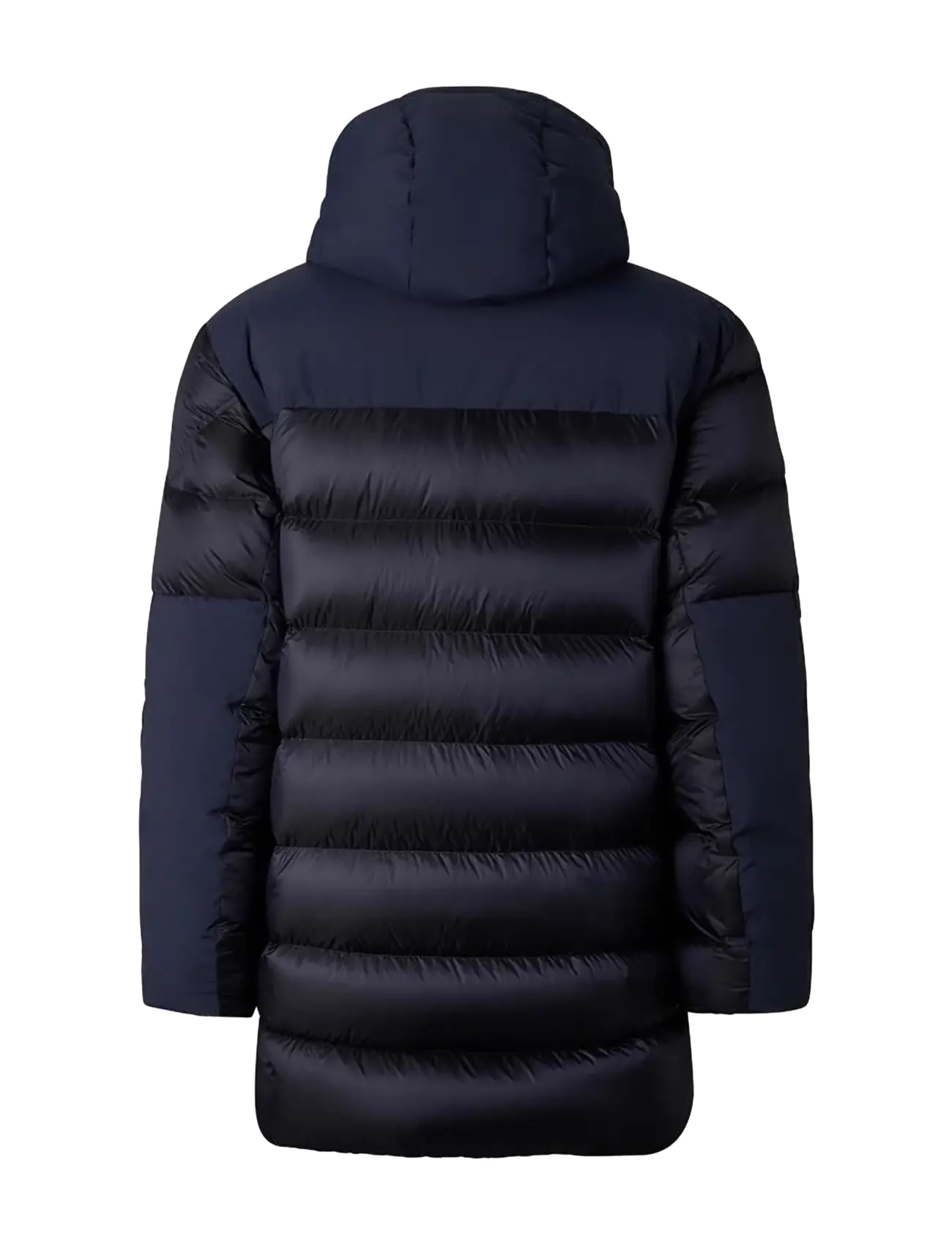 BOGNER - HERBY-D3 - daunenjacken - navy - 2