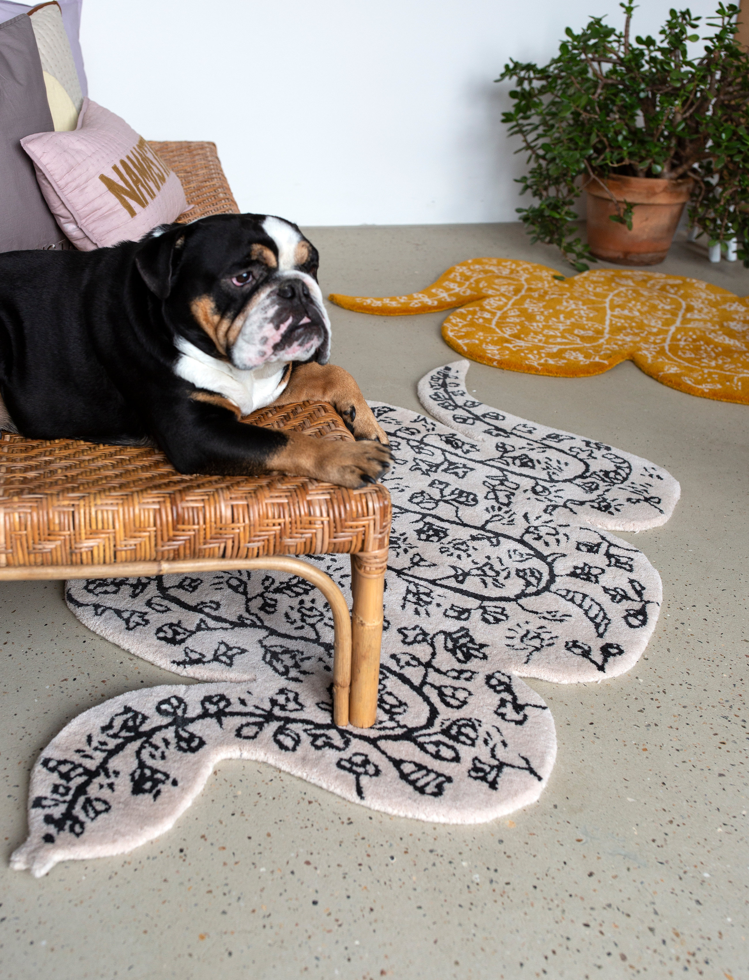 Bongusta - Snake rug - asymmetric rugs - creme & ink - 1