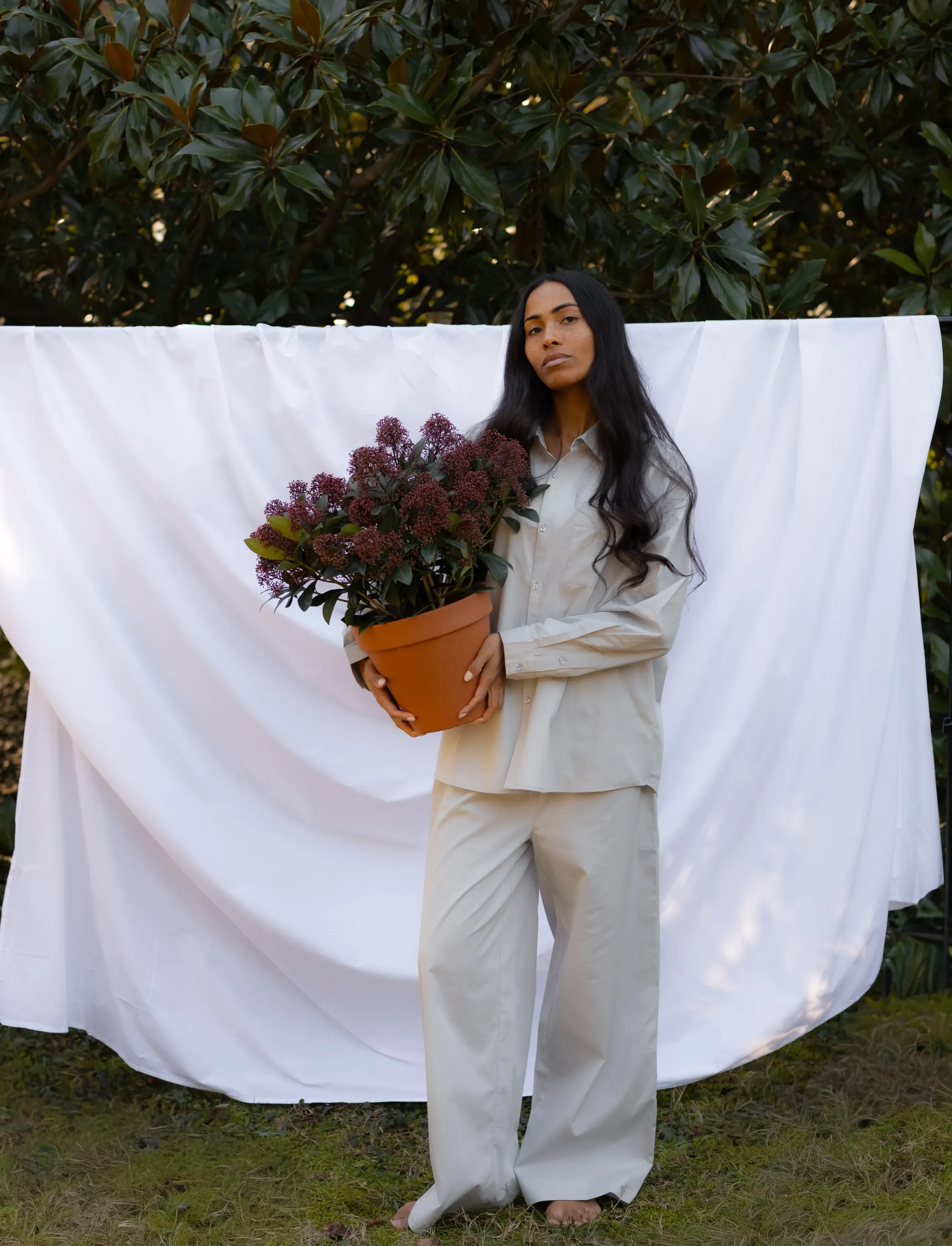 Sahej Pants 2