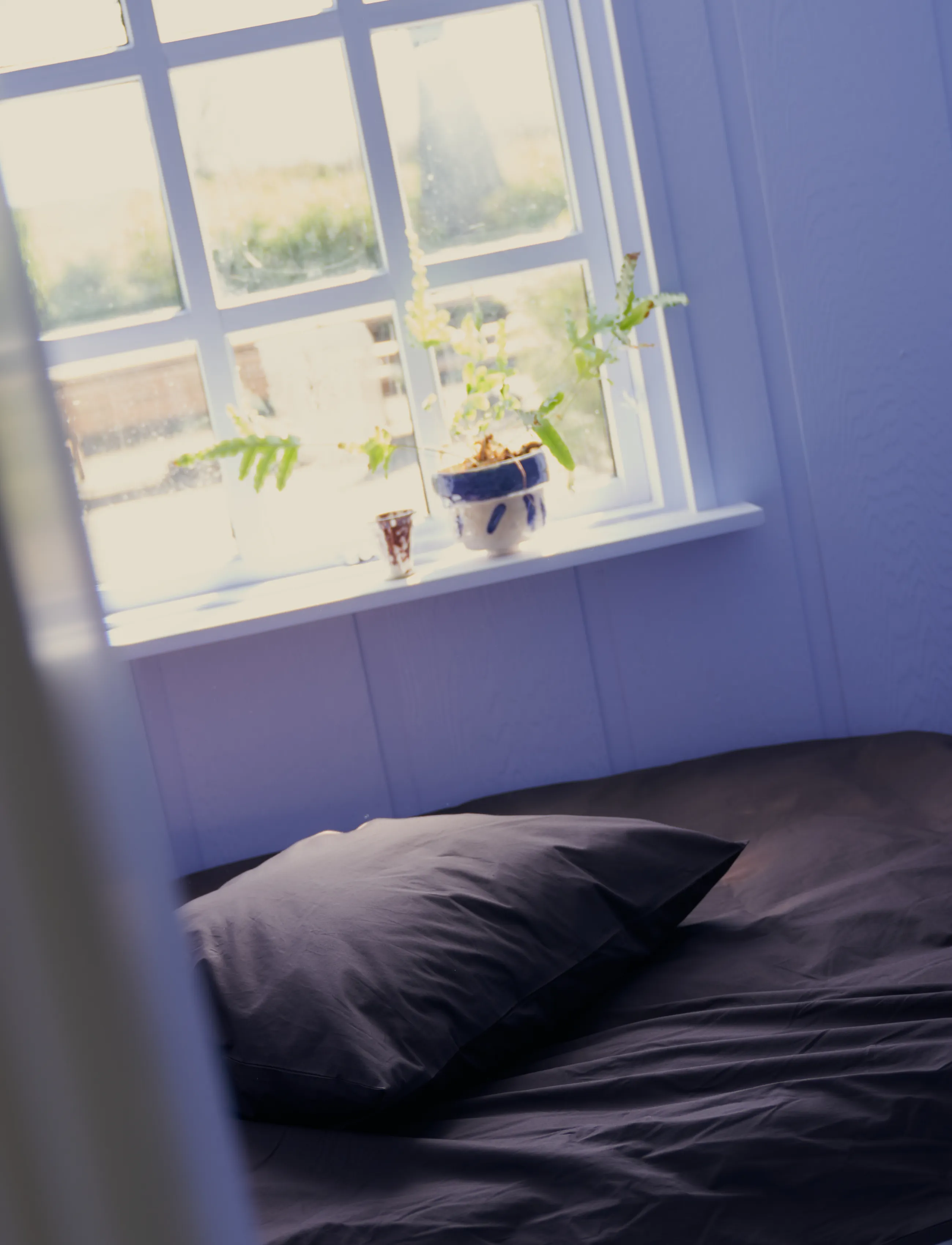 Bongusta - Percale Duvet Cover - tekikotid - coffee - 0