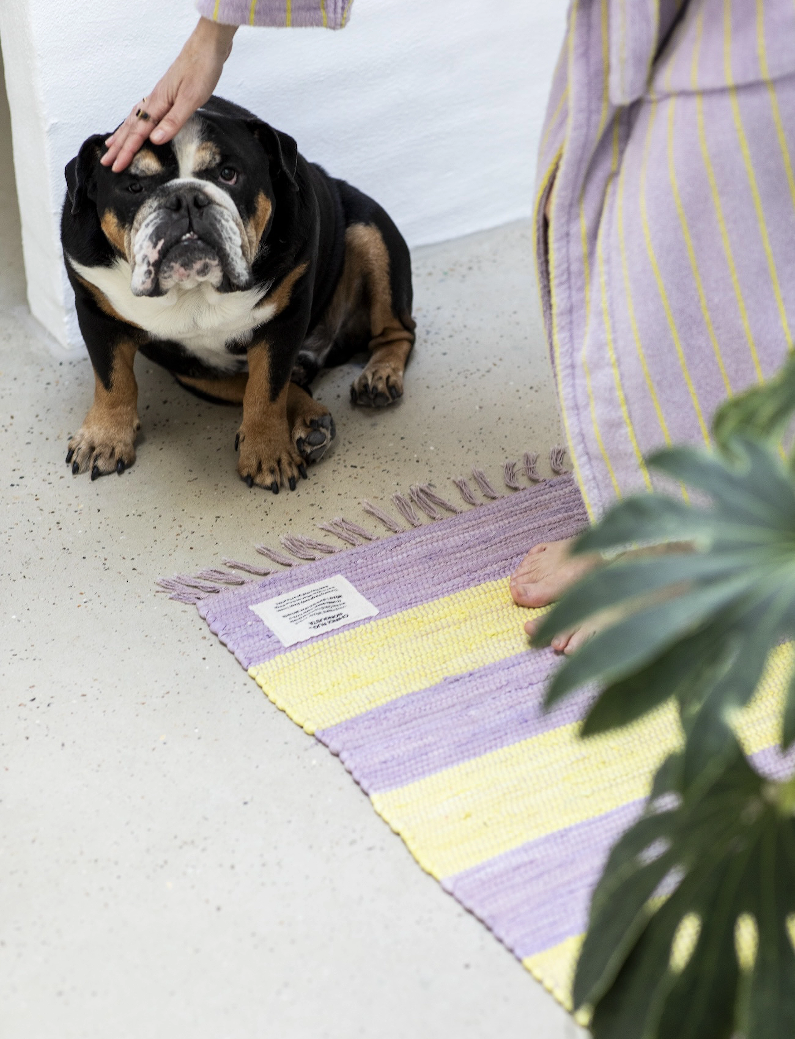 Bongusta - Chindi Rug 60 x 120 cm - bomuldstæpper & kludetæpper - lilac & neon yellow - 0
