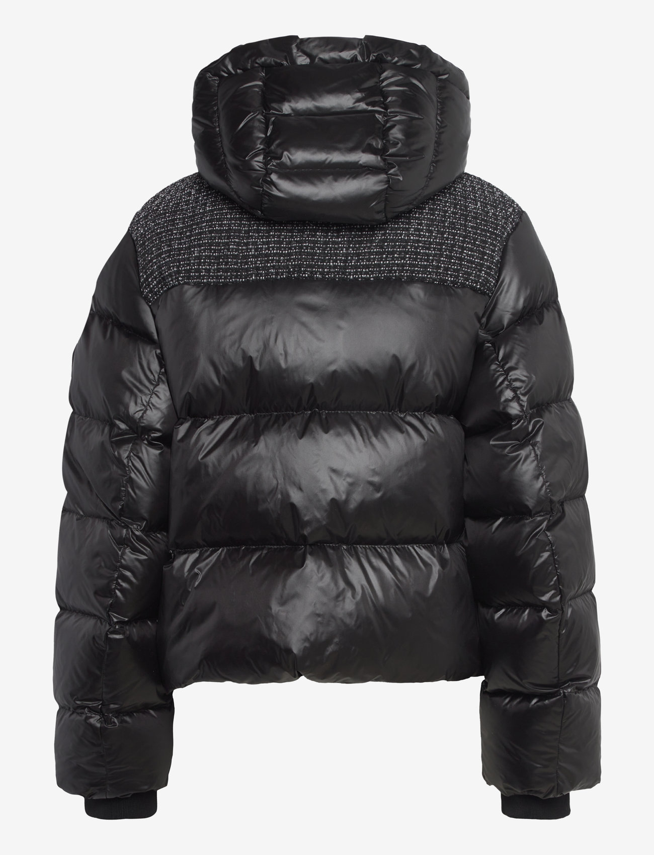 BOSS - Pombato - open miscellaneous - 1