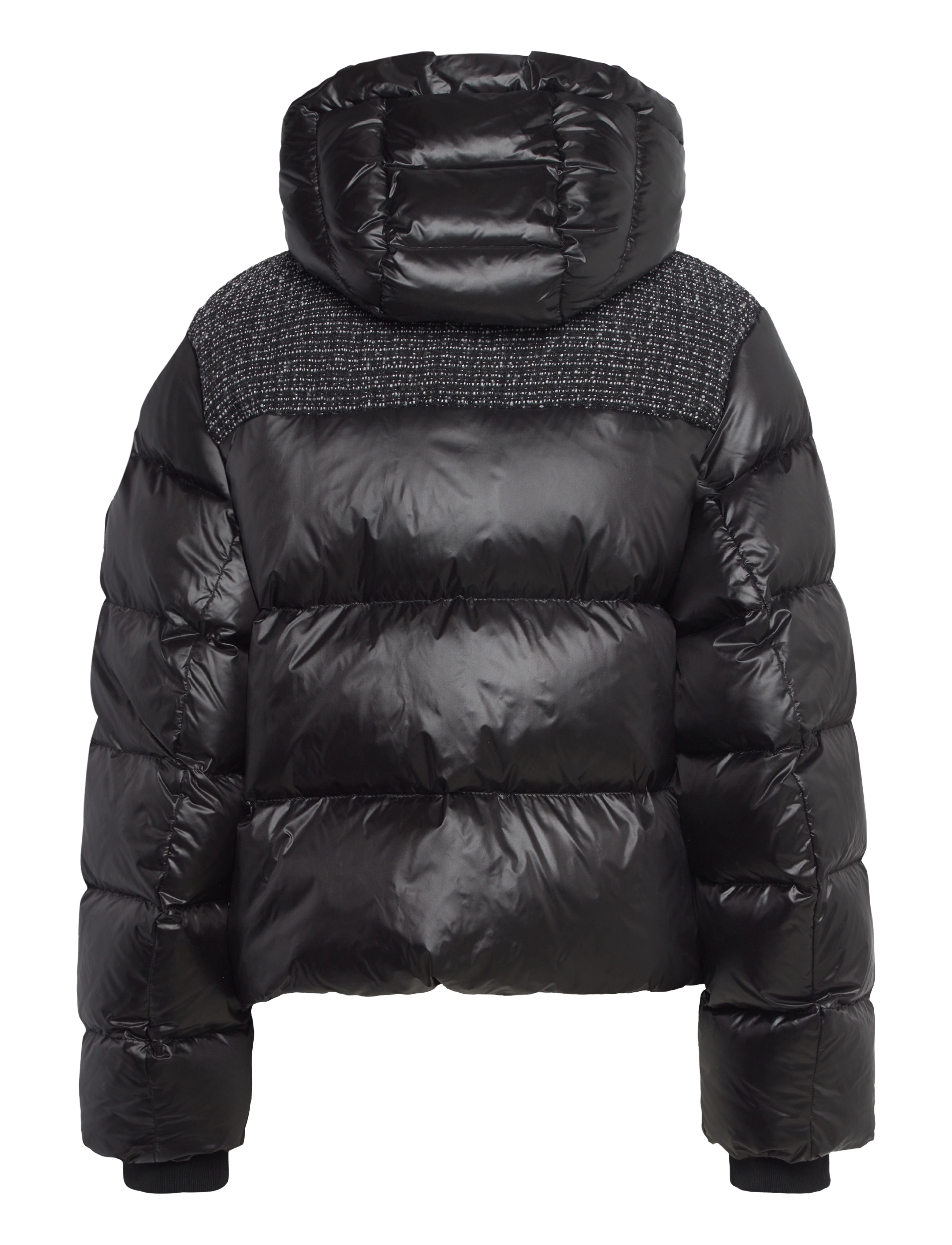 BOSS - Pombato - open miscellaneous - 1