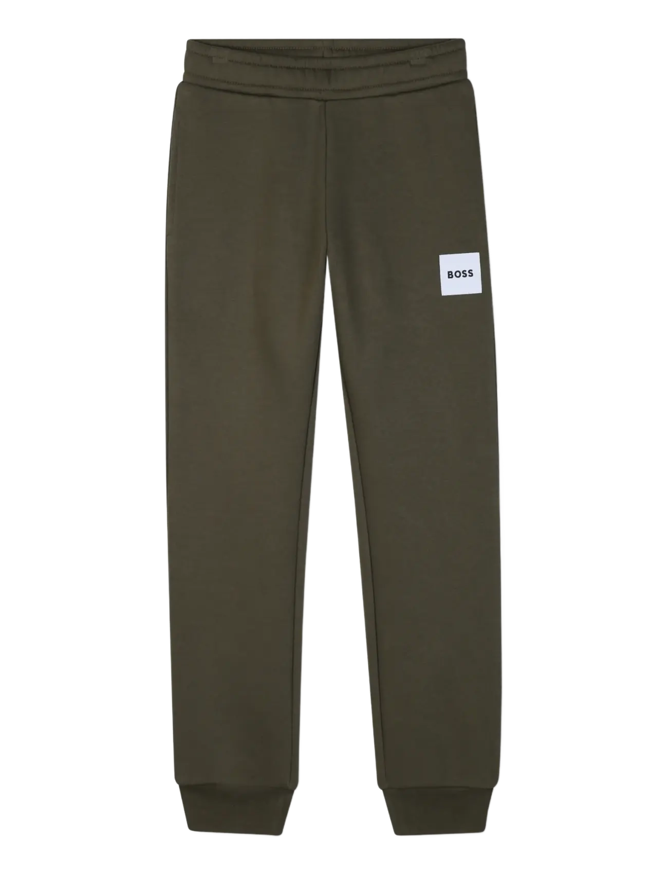 OLIVE NIGHT