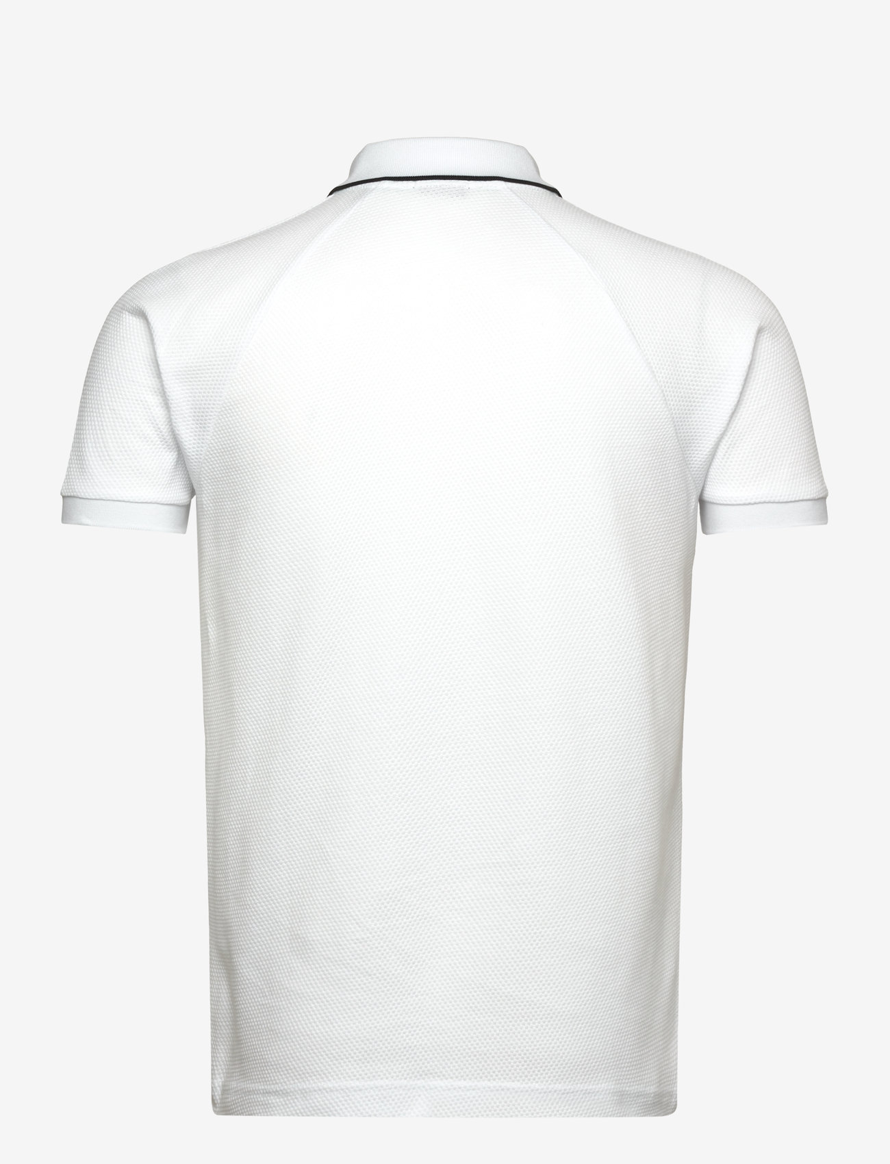BOSS - Philix_NCSA - white - 1