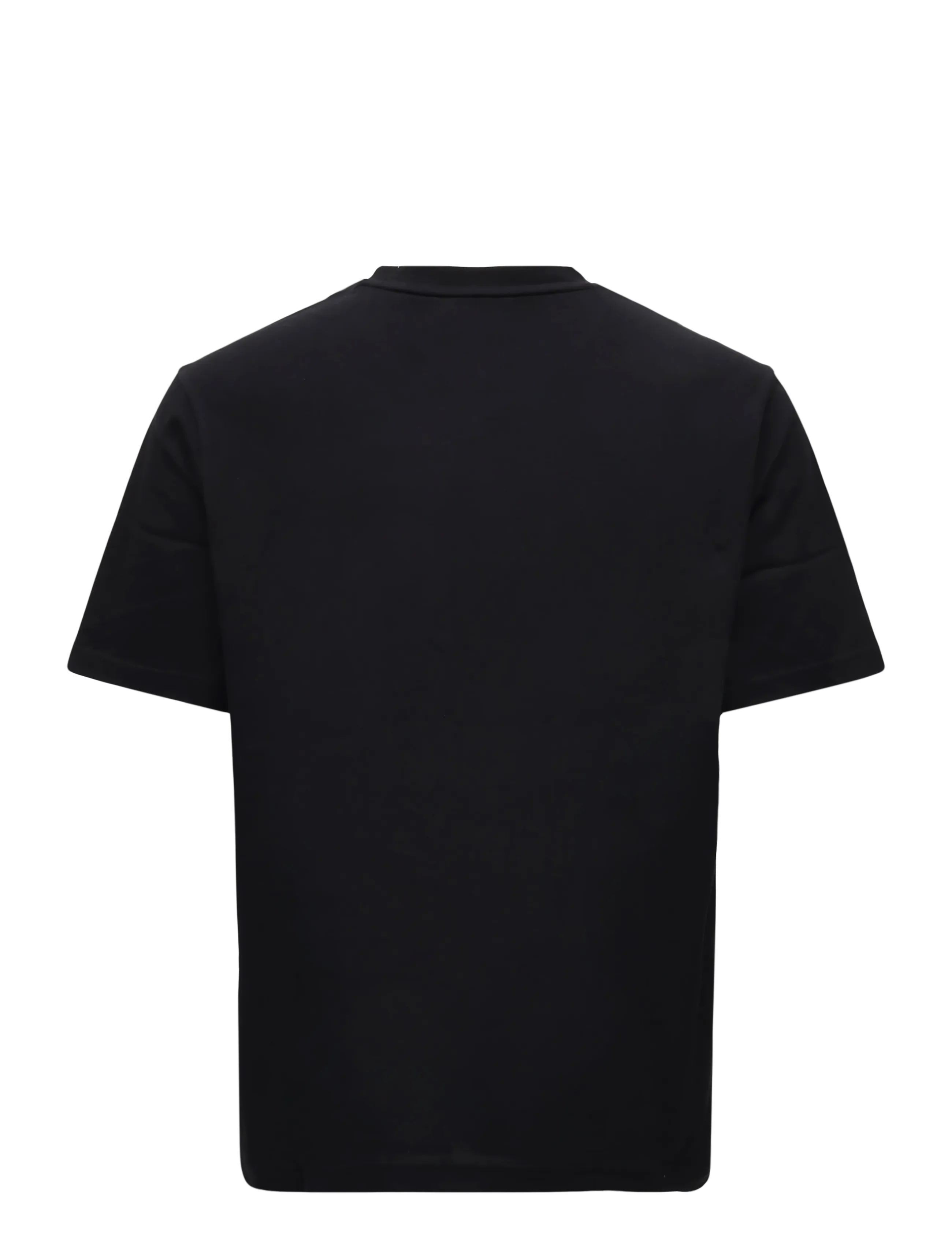 Ts_Structure 2
