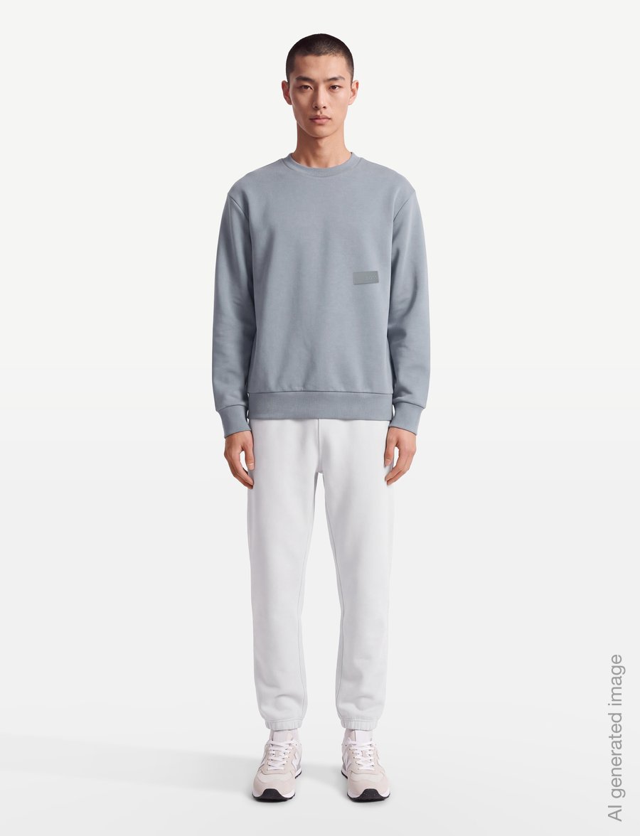 BOSS - SW_Crewneck - oberteile - dark grey - 0