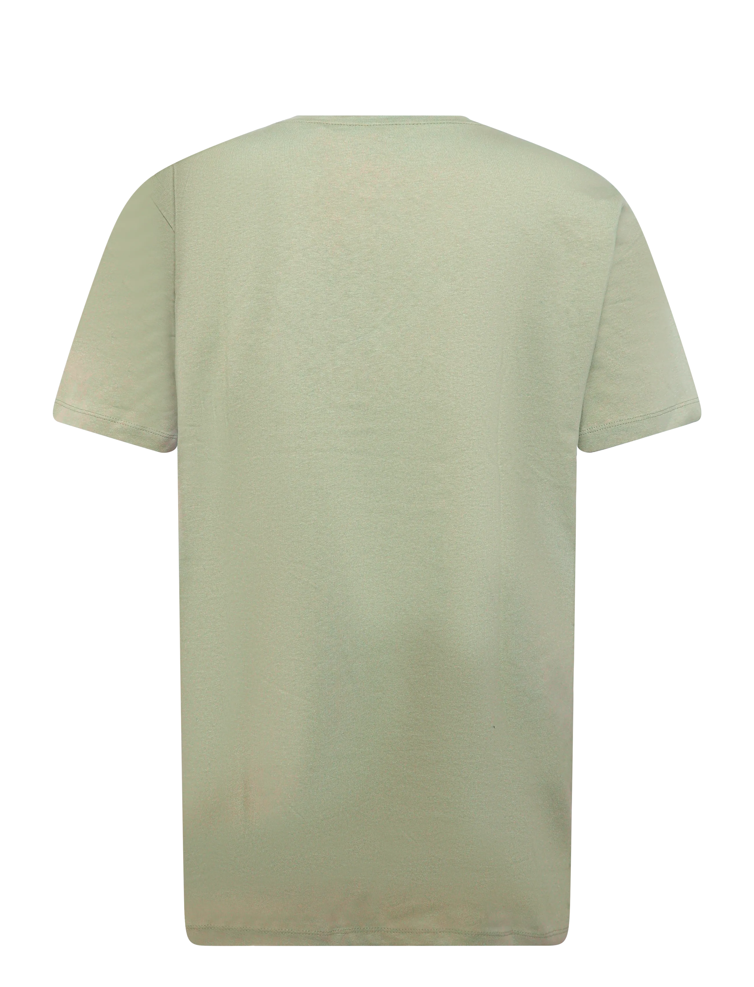 BOSS - Tales - kurzärmelige t-shirts - open green - 1