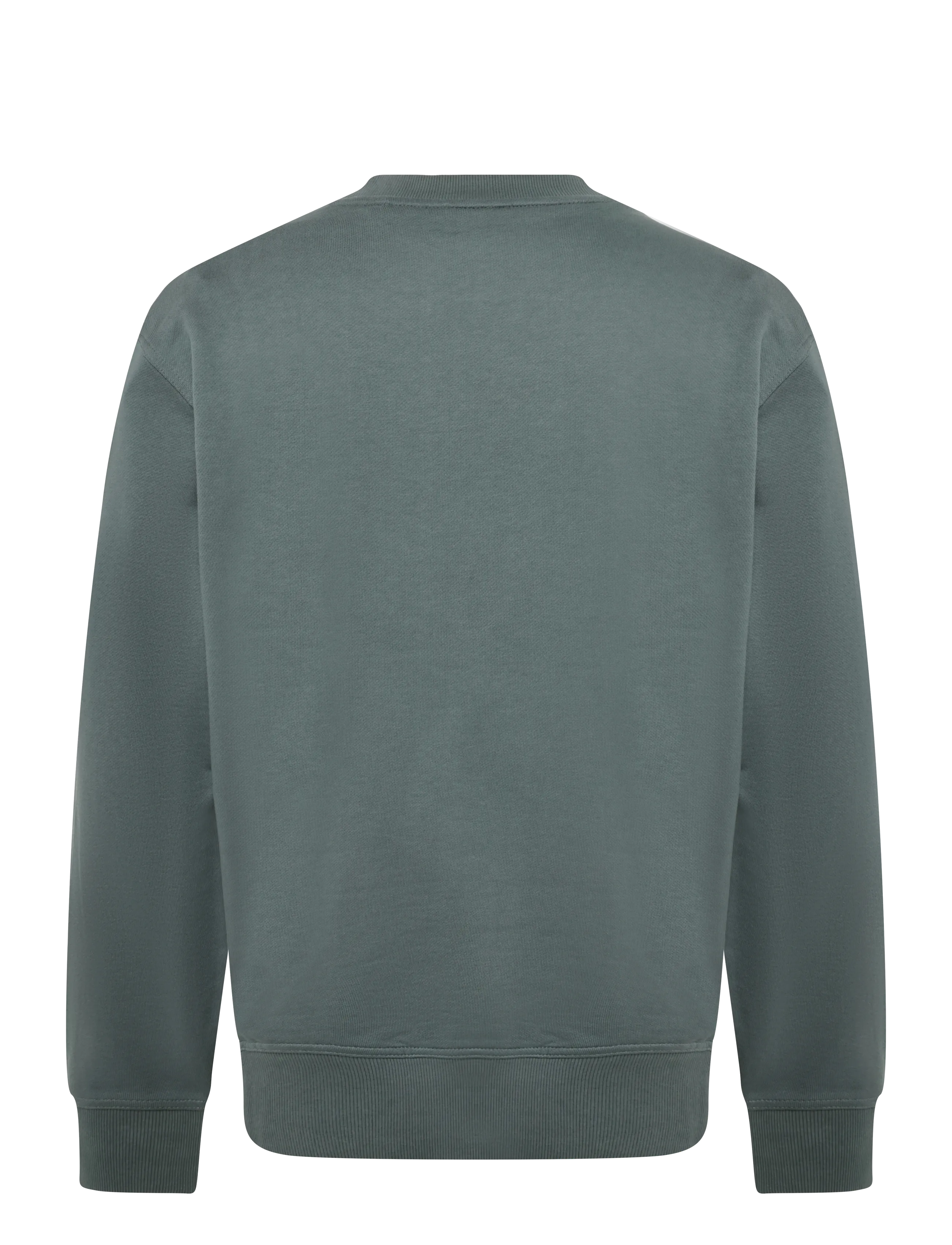 BOSS - WeSmallcrew - sweatshirts - open green - 1