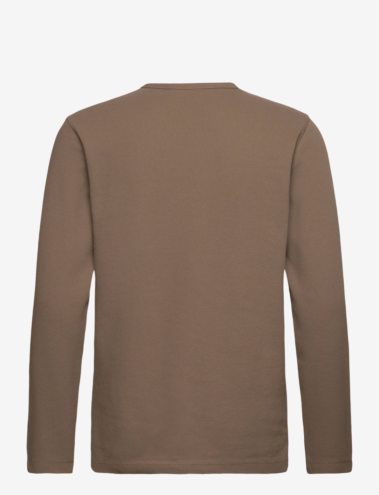 BOSS - Tempesto - tavalised kudumid - open green - 1