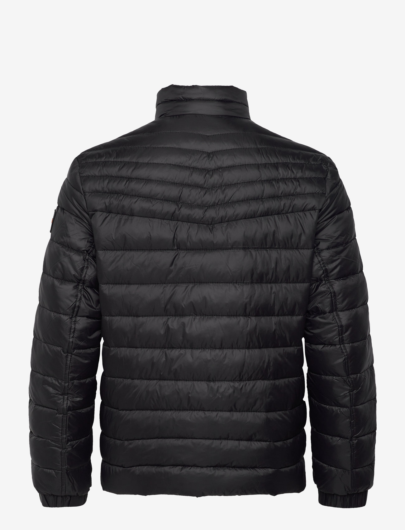 BOSS - Oden2 - padded jackets - black - 1
