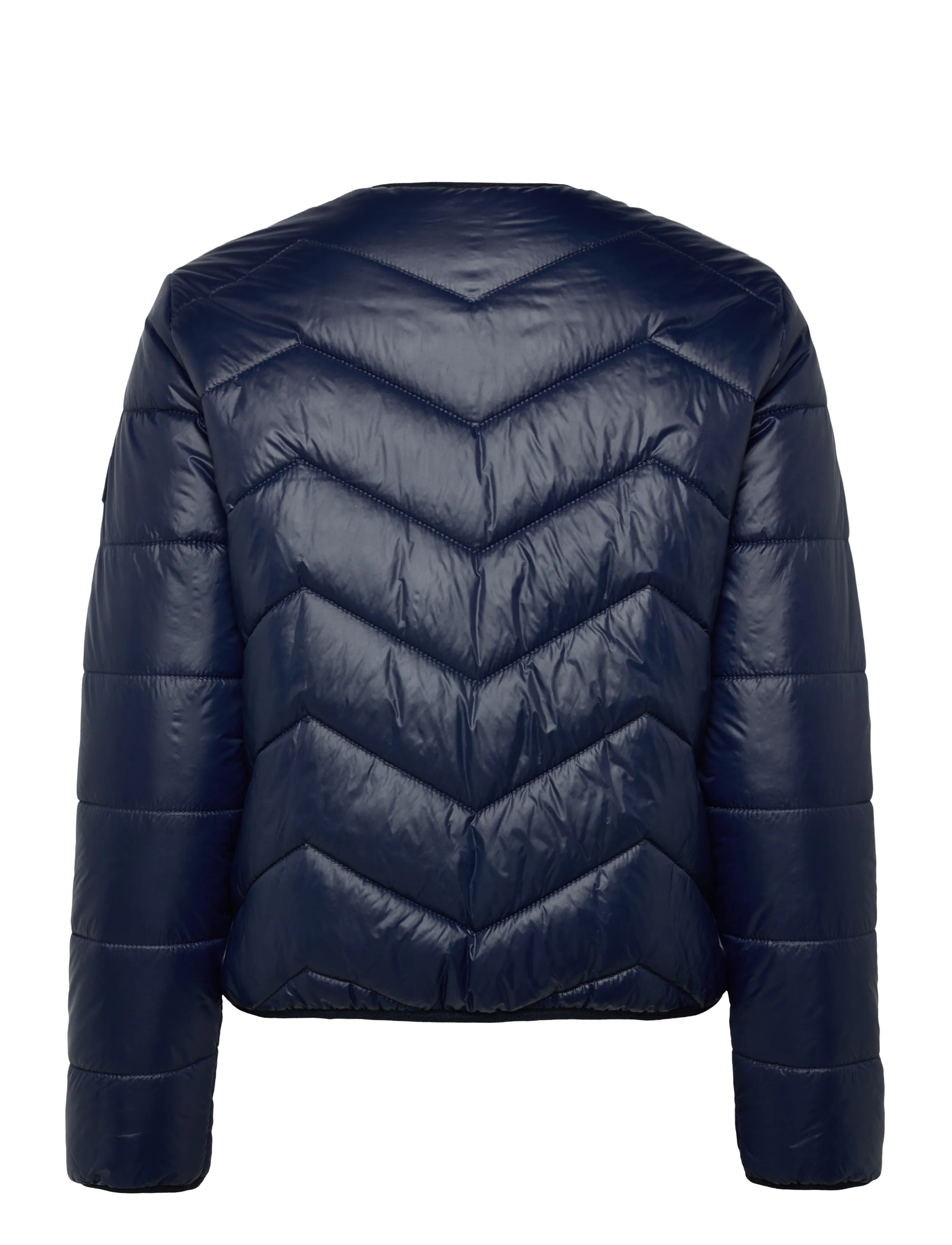 BOSS - C_Palatti - winterjacken - dark blue - 1