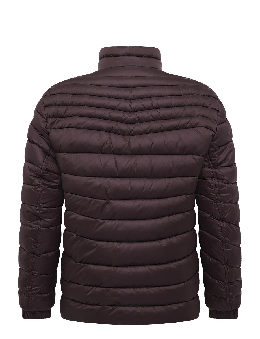 BOSS - Oden2 - winter jackets - dark brown - 1