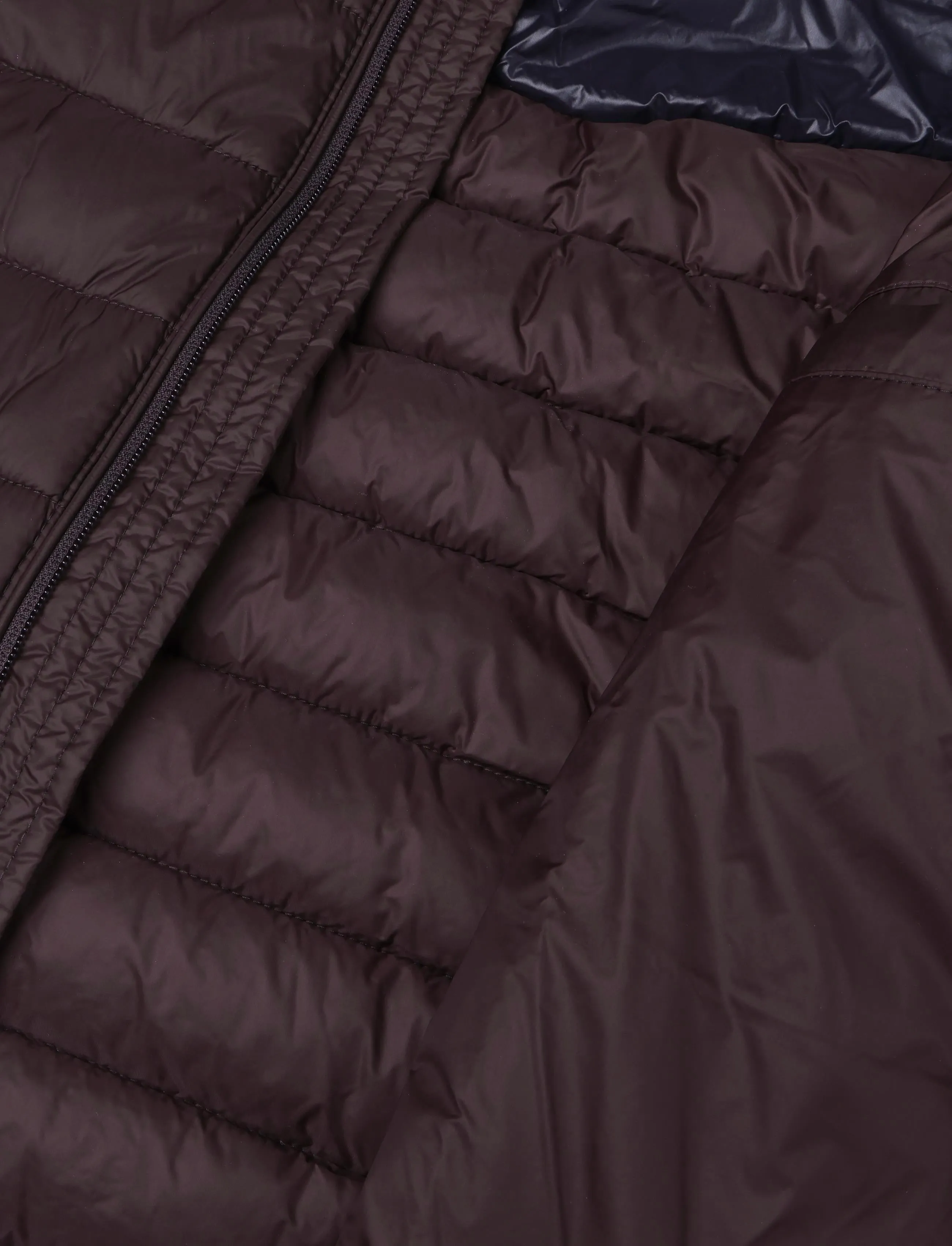 BOSS - Oden2 - winter jackets - dark brown - 4