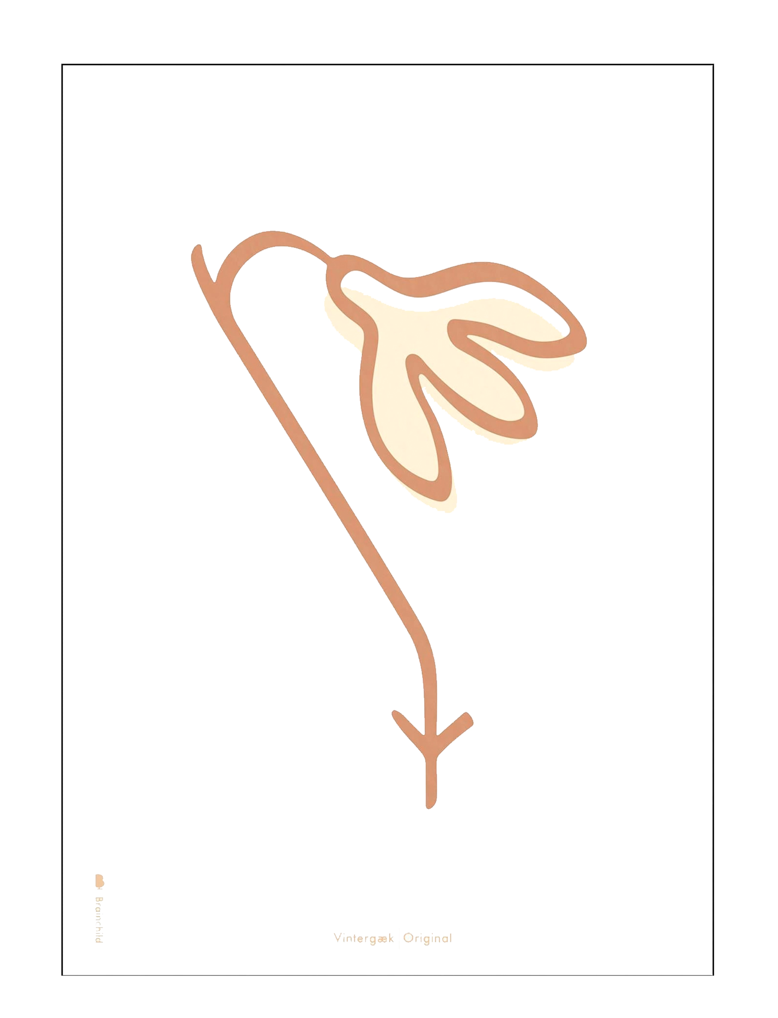 Brainchild Snowdrop white - Brainchild - MULTI-COLORED / multi