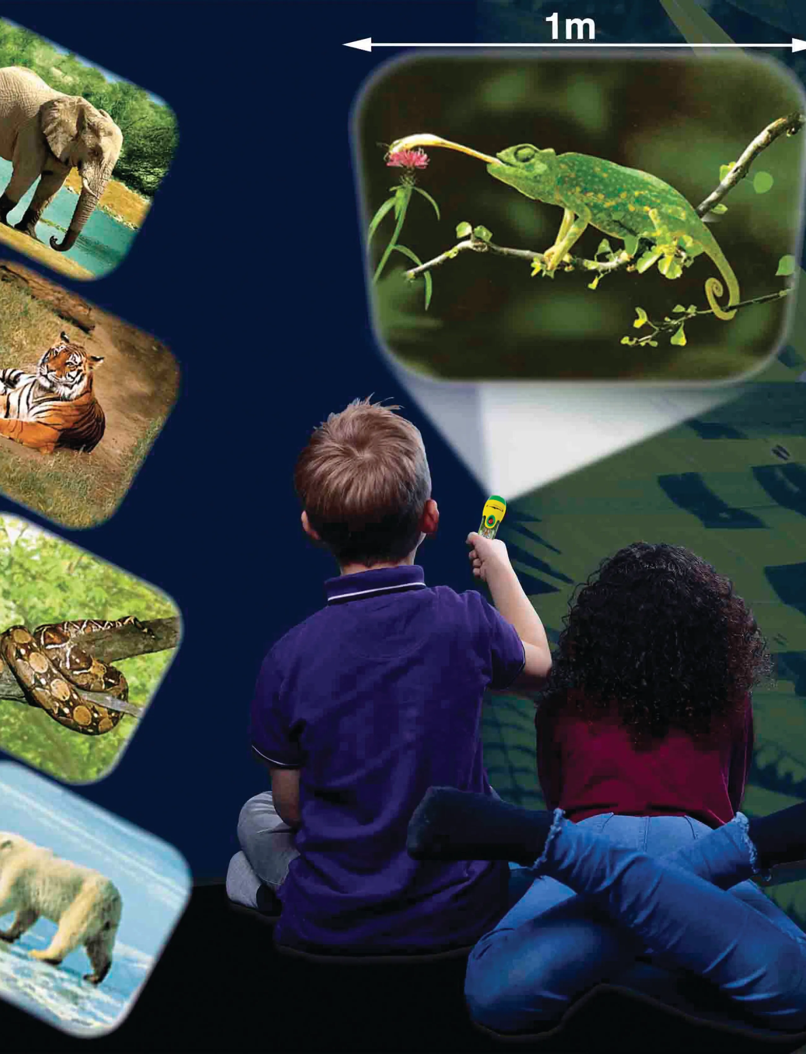 Brainstorm Brainstorm Animal Torch & Projector, One Size, Multi/patterned, Legetøj > Experiments And Science, Børn